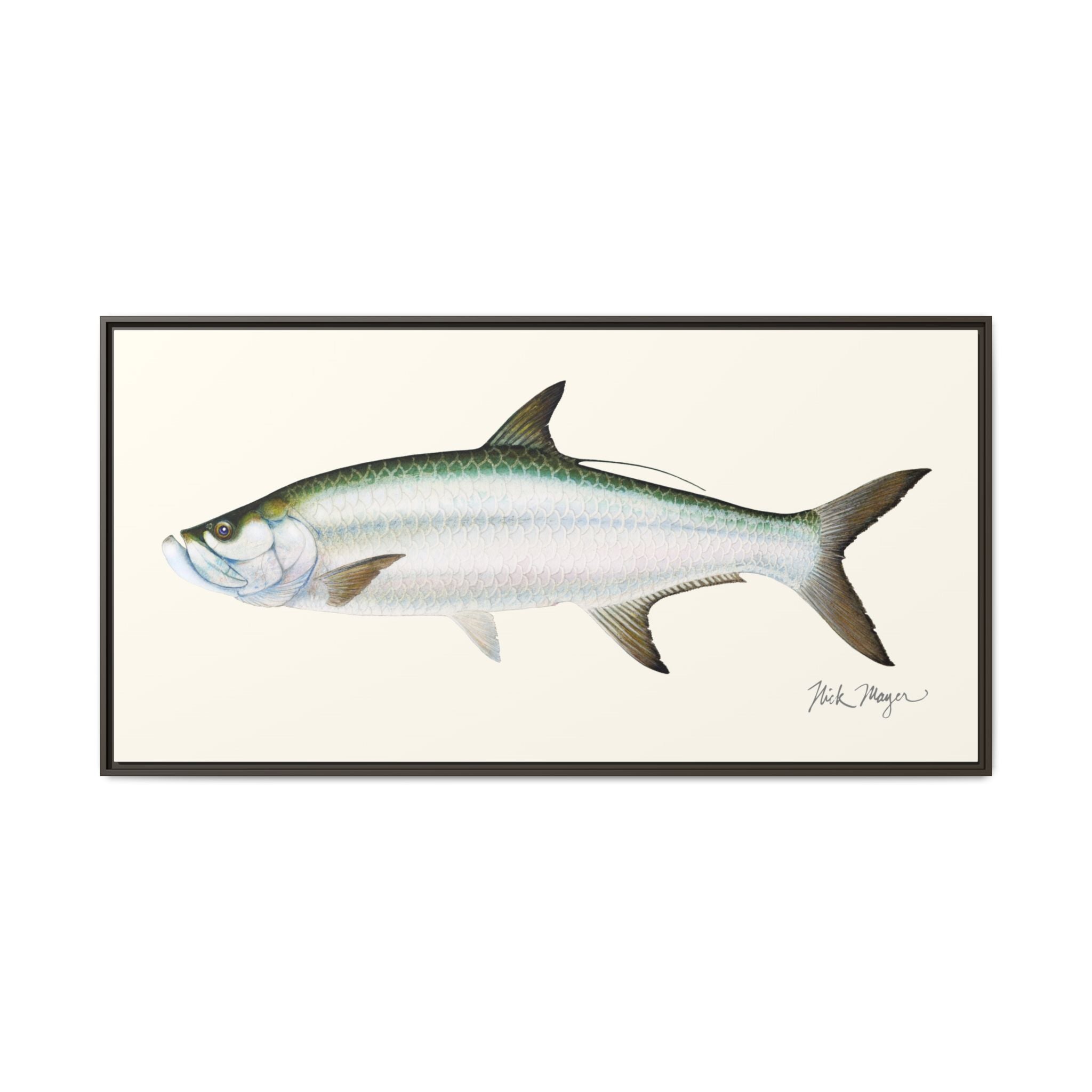Tarpon Framed Canvas Print Printify