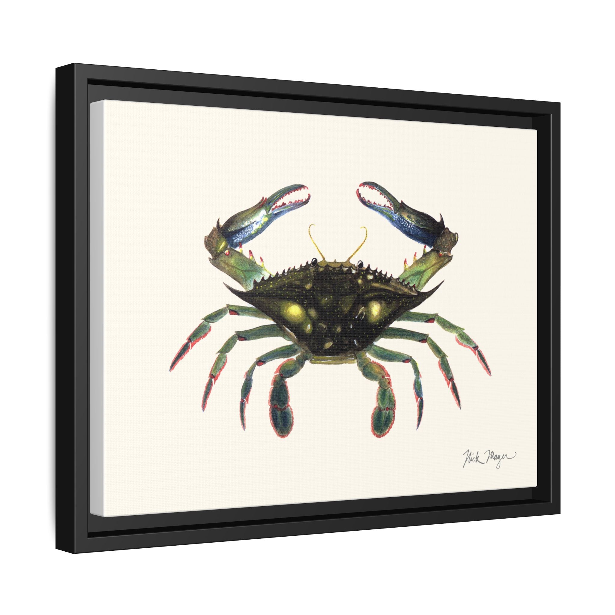 Blue Crab, Claws in Framed Canvas Print Printify