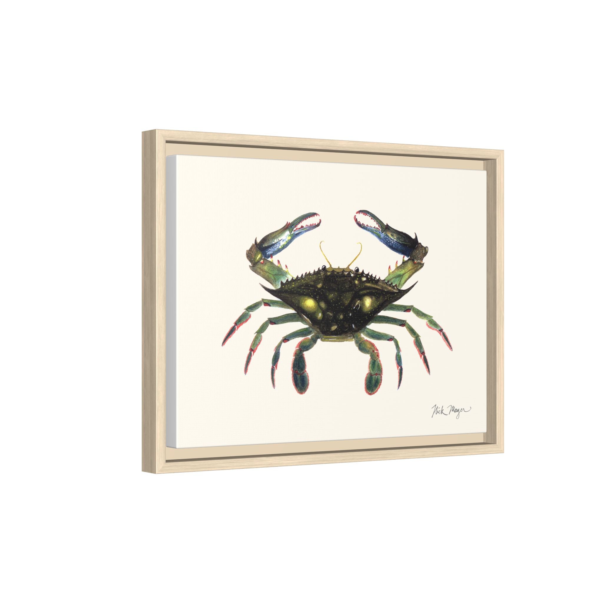 Blue Crab, Claws in Framed Canvas Print Printify