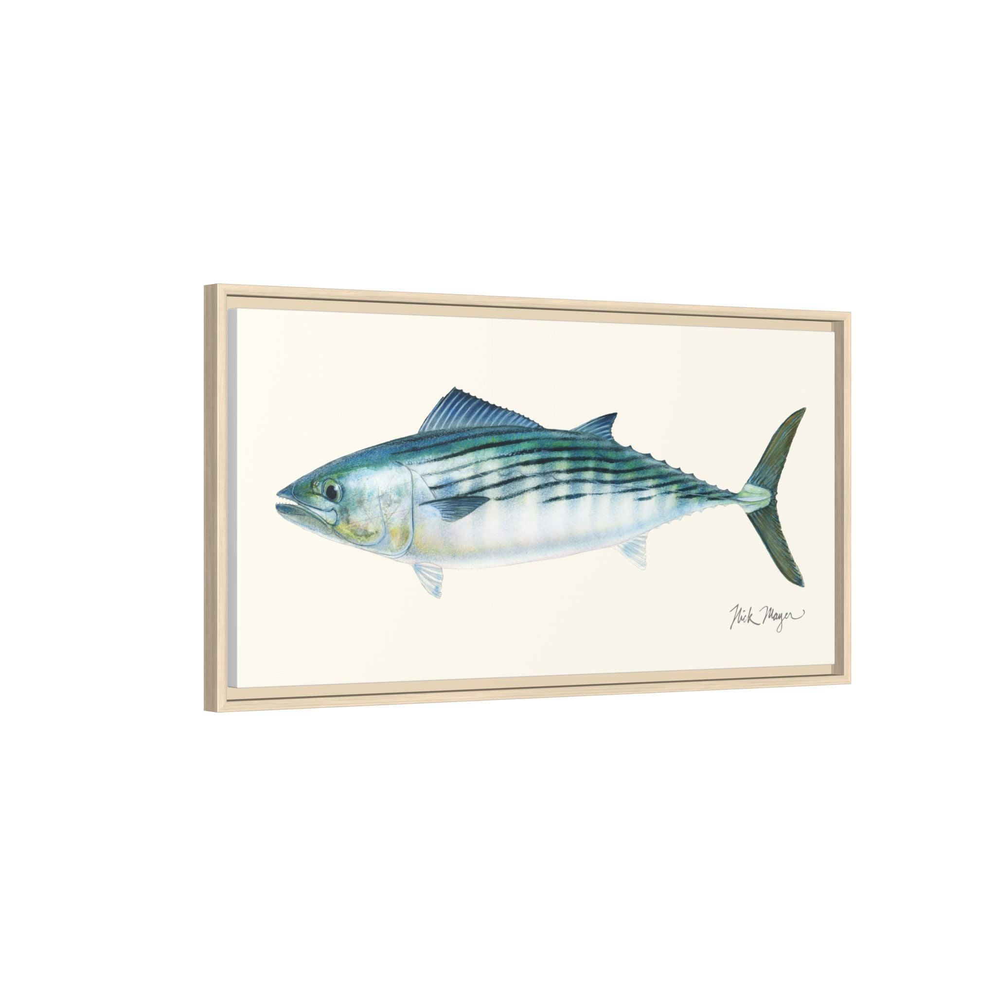 Bonito Framed Canvas Print Printify