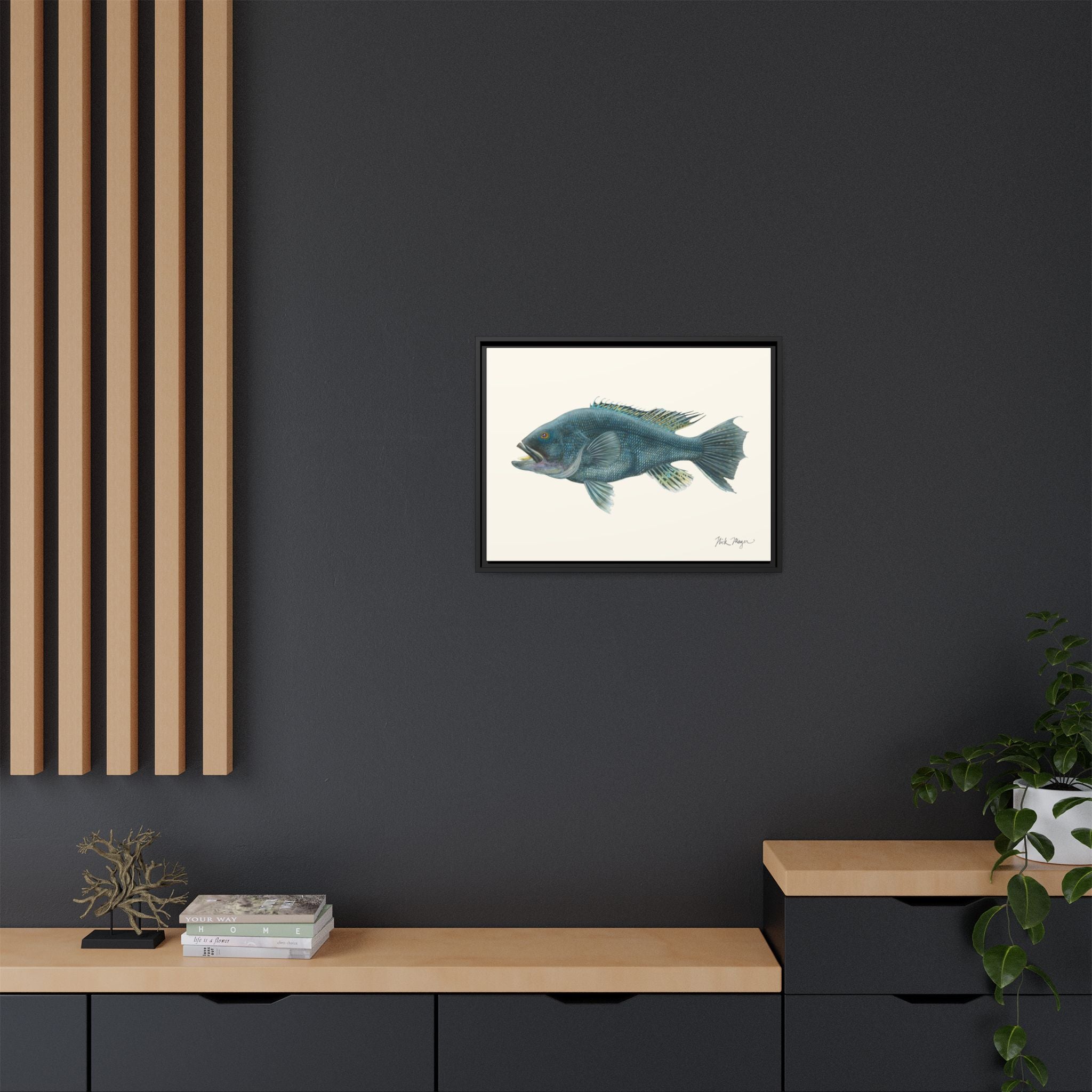 Black Sea Bass Framed Canvas Print Printify