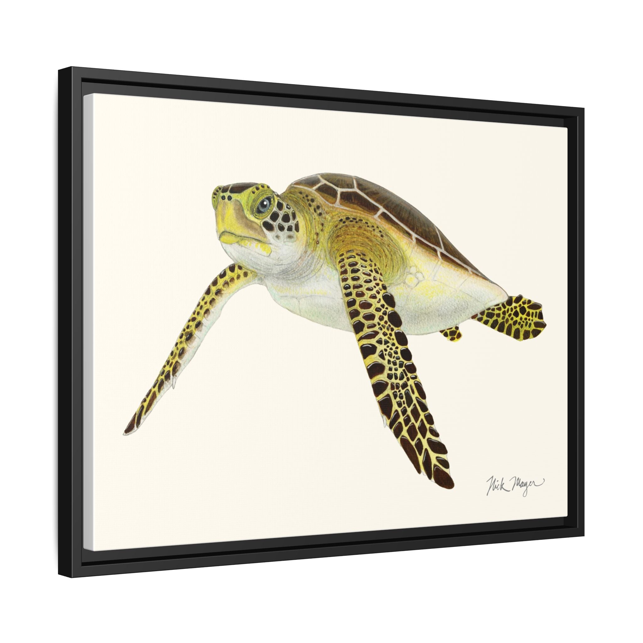 Green Sea Turtle III Framed Canvas Print Printify
