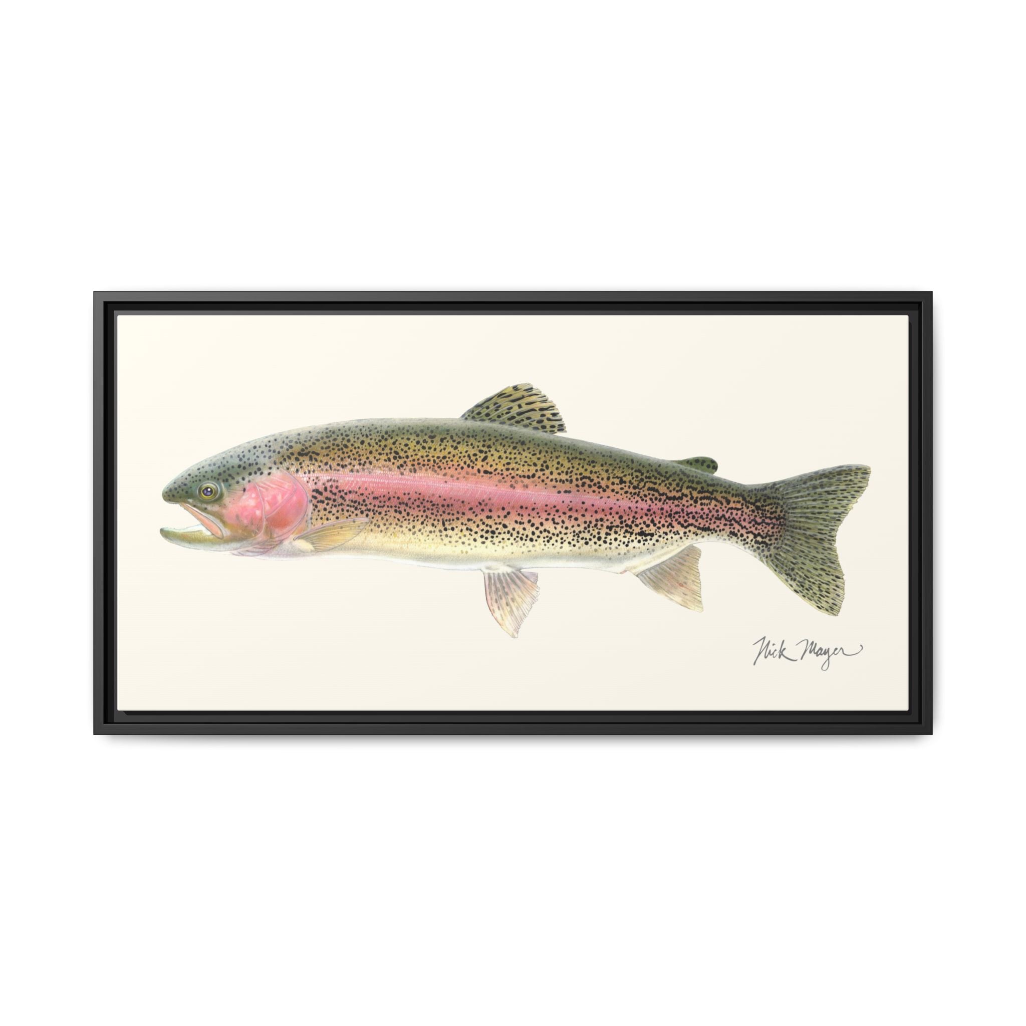 Rainbow Trout Framed Canvas Print Printify