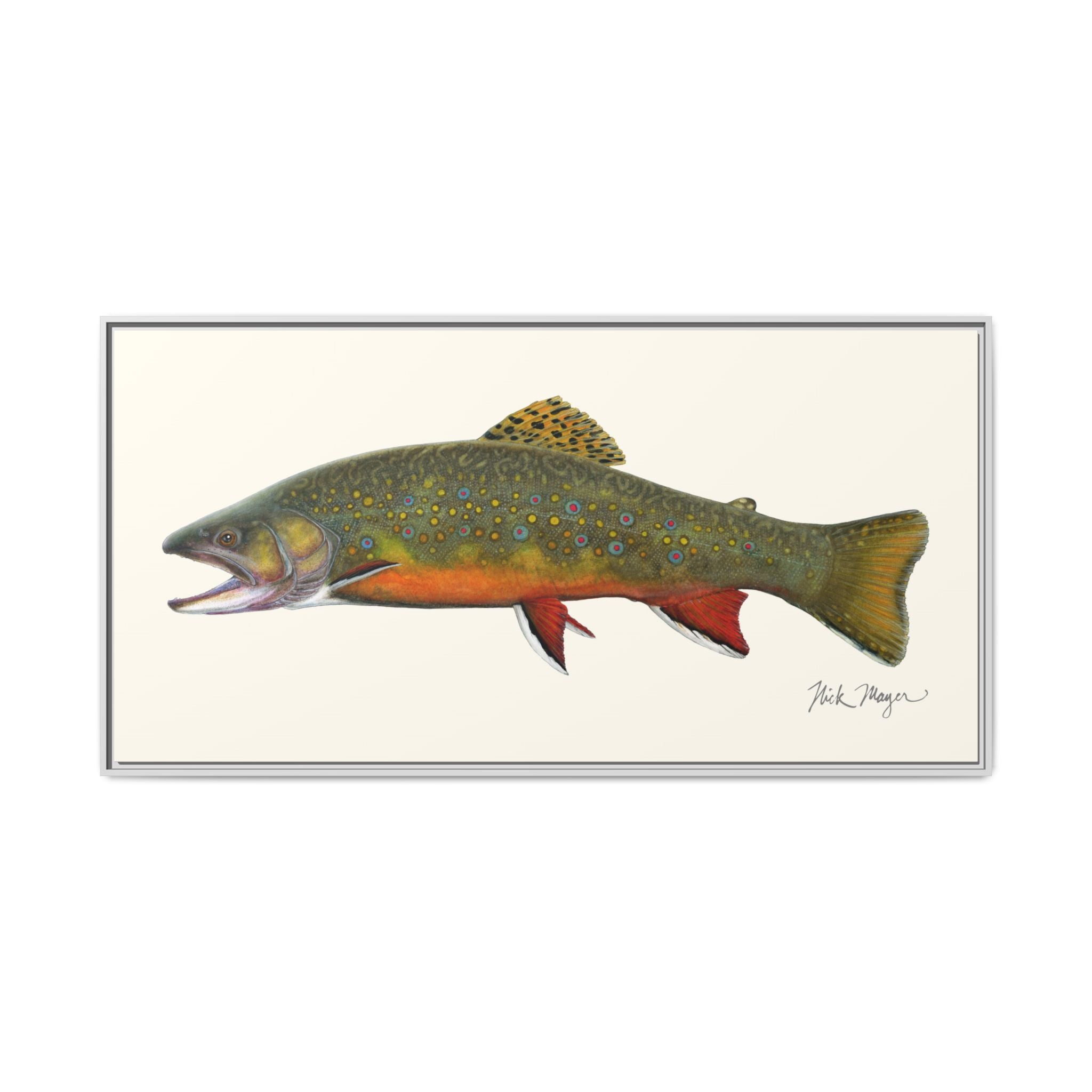 Beaver Pond Brook Trout Framed Canvas Print Printify