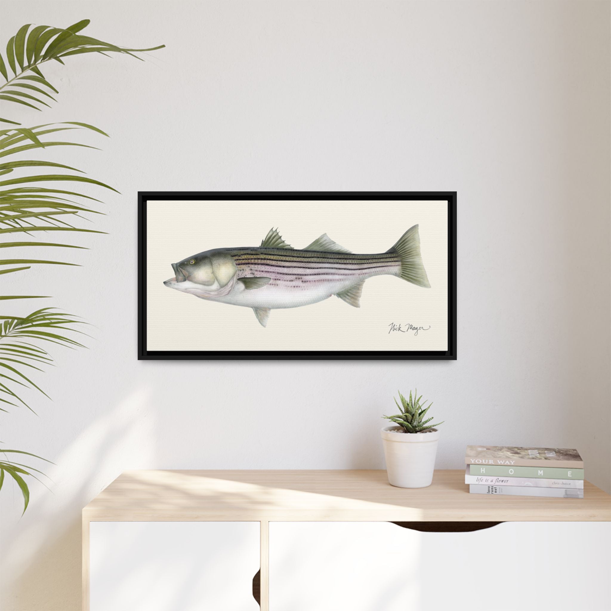 Striped Bass, 30 lbs Framed Canvas Print Printify
