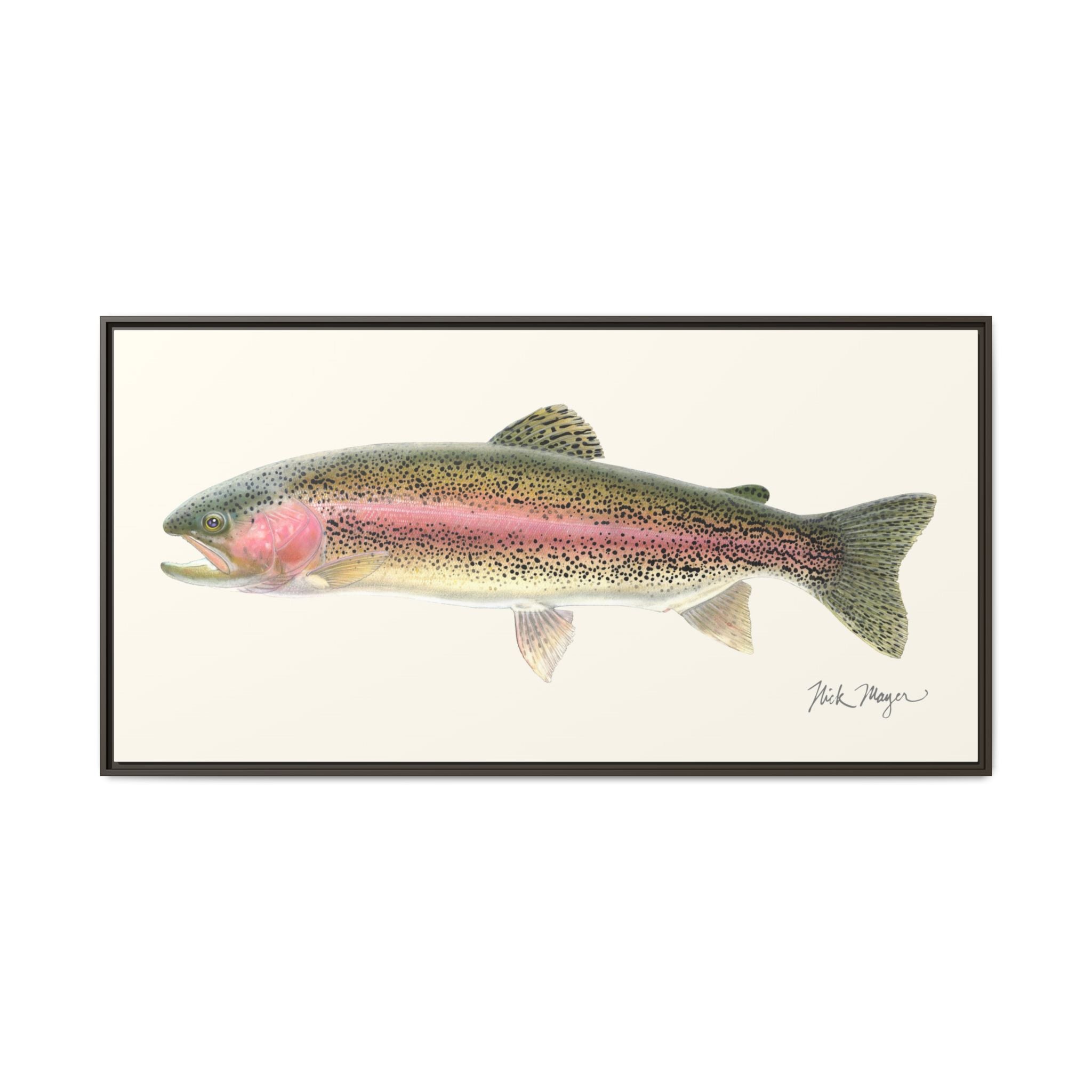 Rainbow Trout Framed Canvas Print Printify