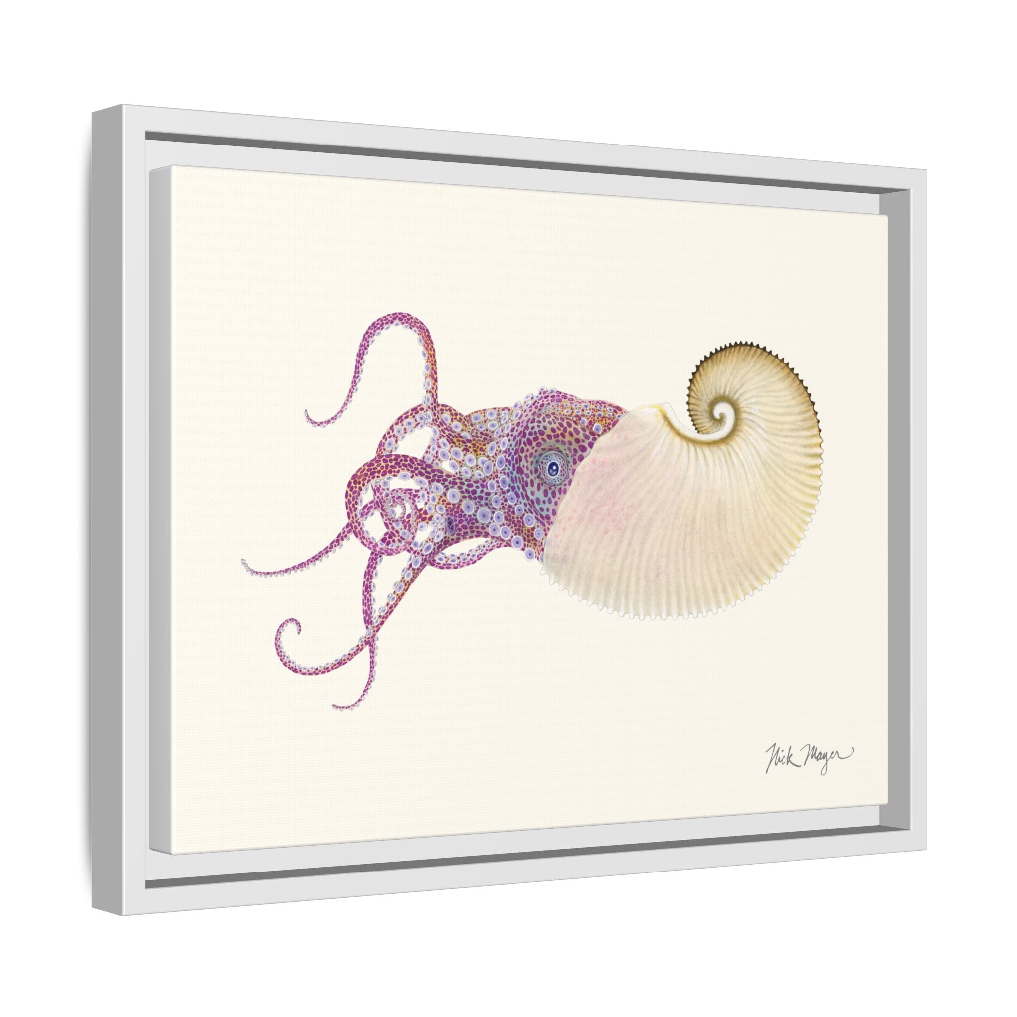 Paper Nautilus Framed Canvas Print Printify