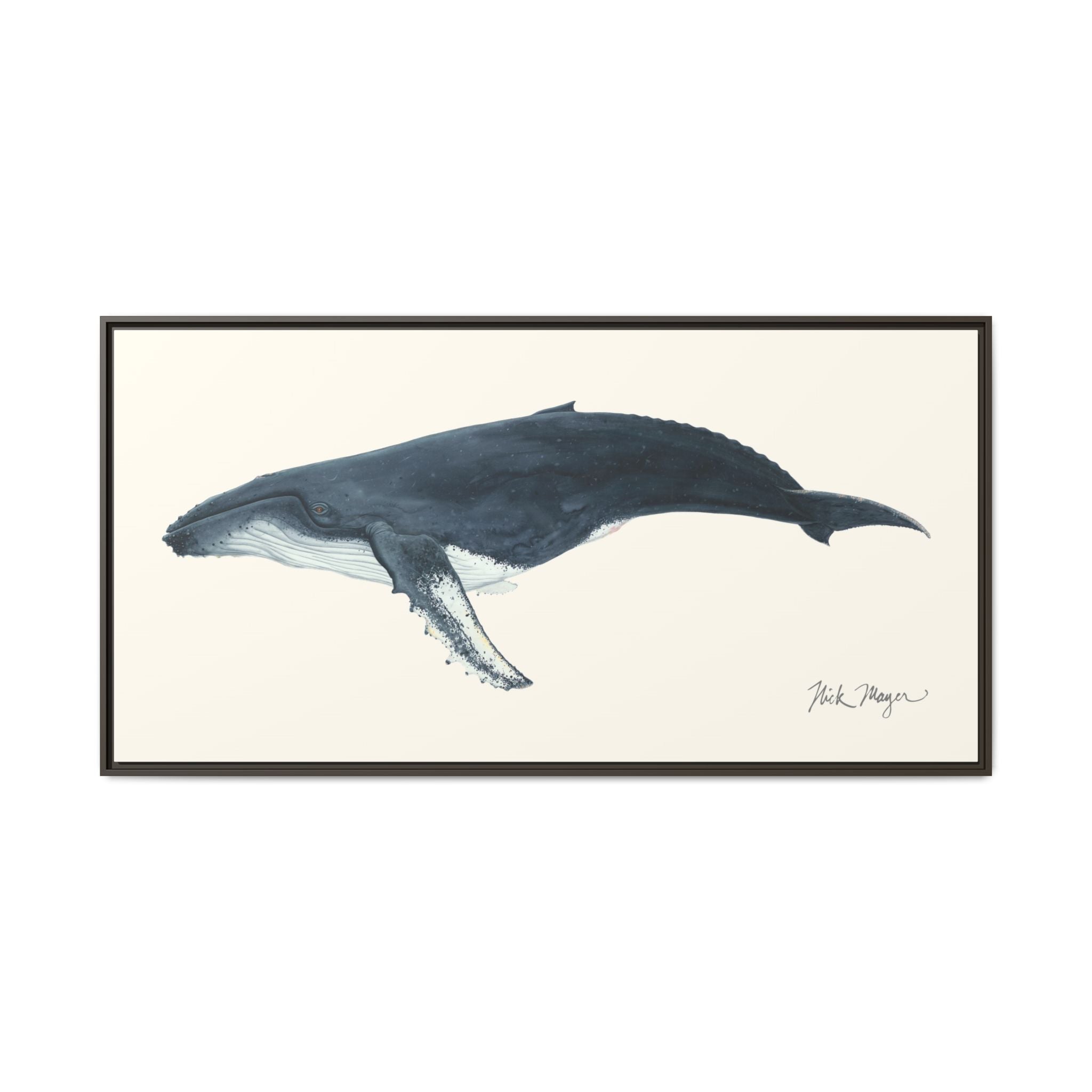 Humpback Whale Framed Canvas Print Printify