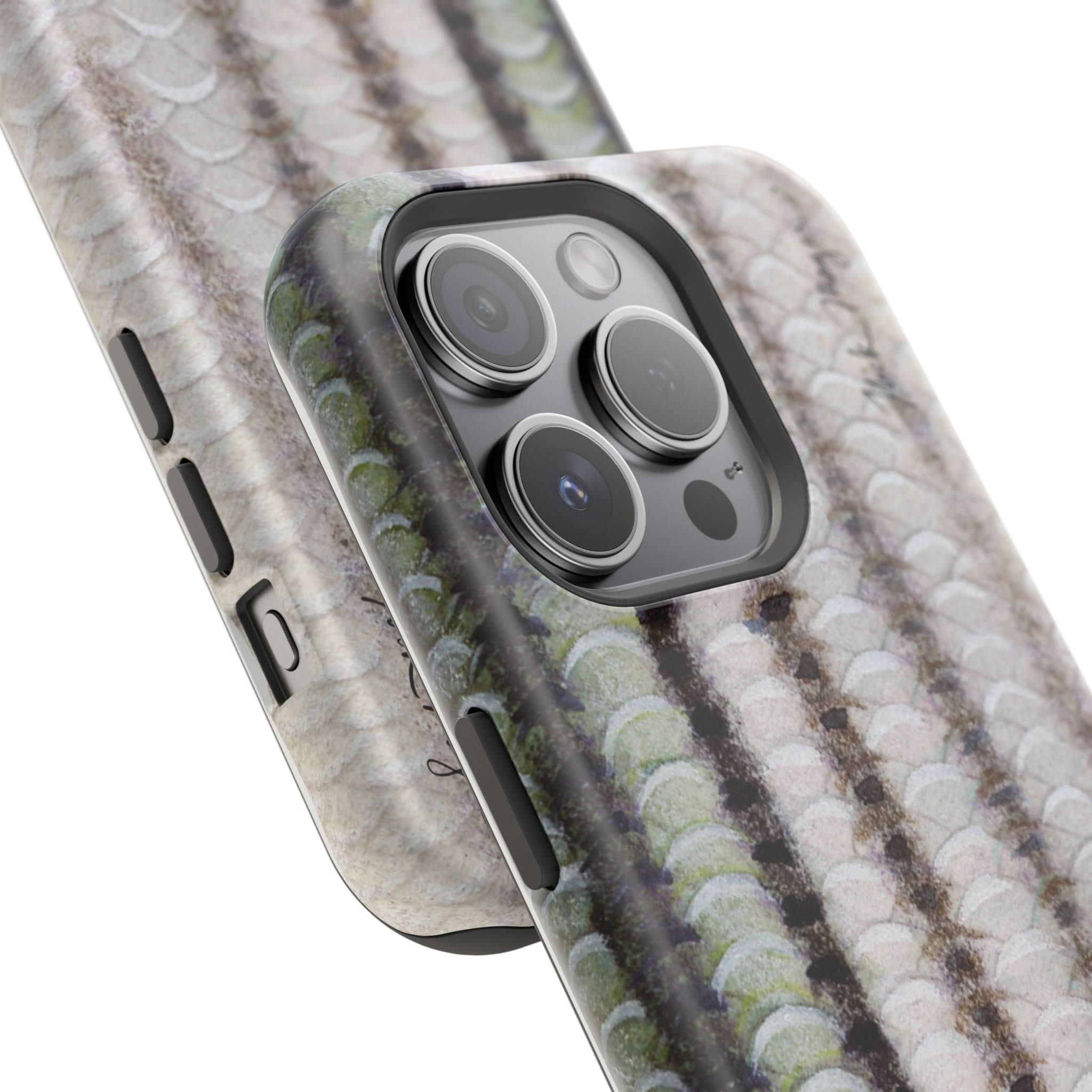 Striper Skin MagSafe iPhone Case
