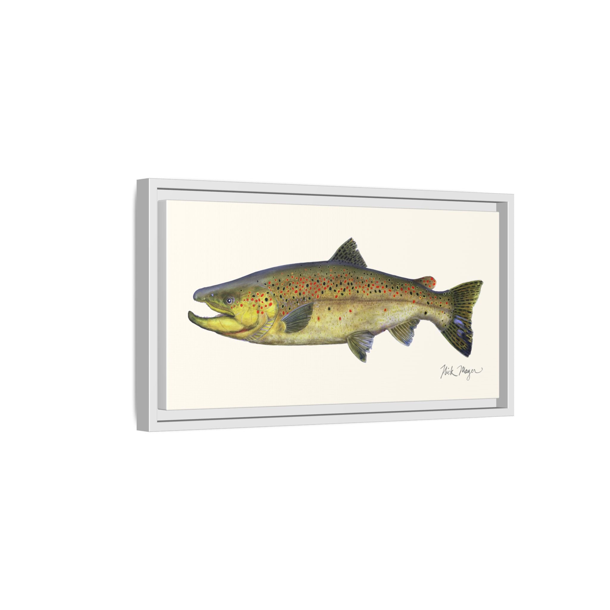 Brown Trout I Framed Canvas Print Printify