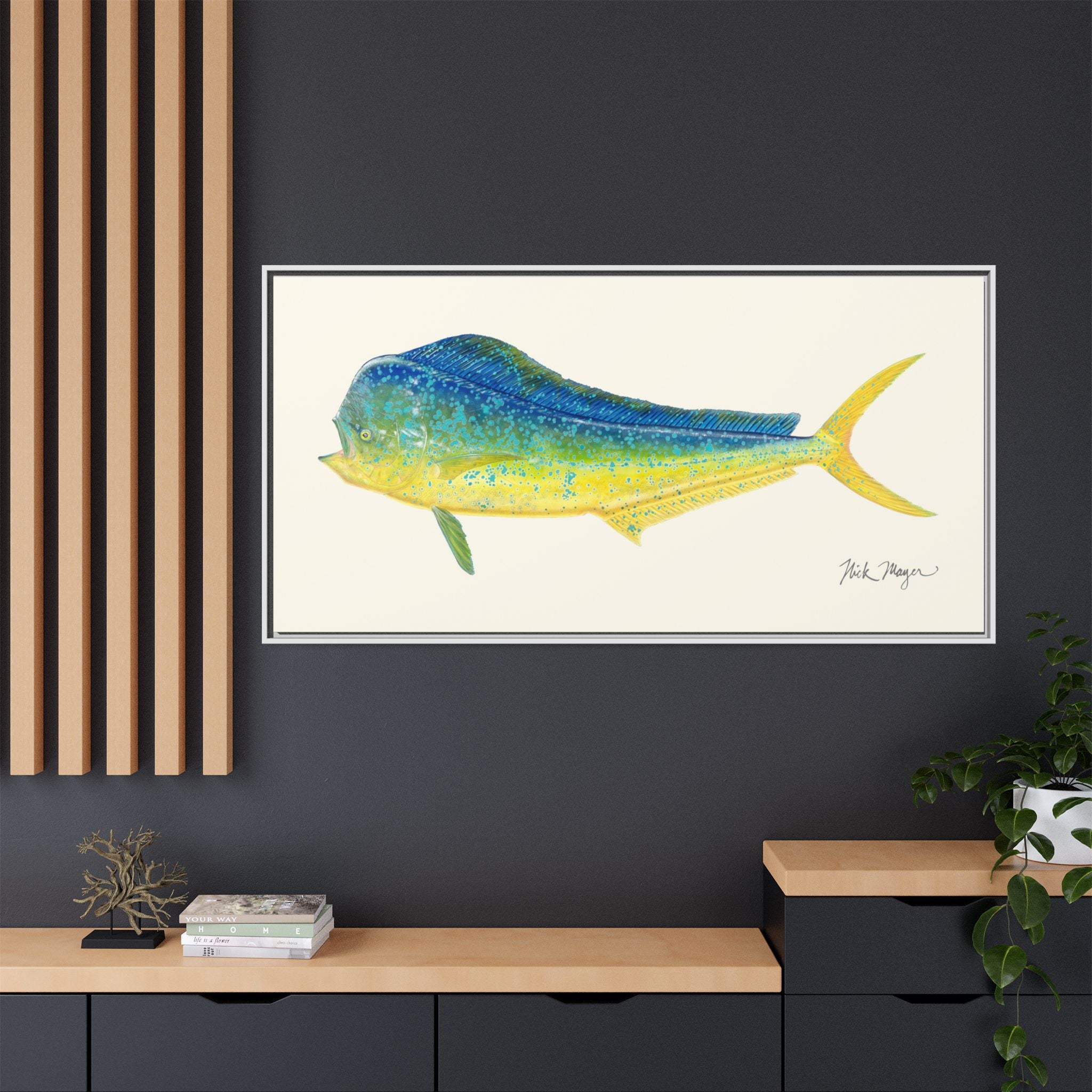 Bull Mahi Mahi Framed Canvas Print
