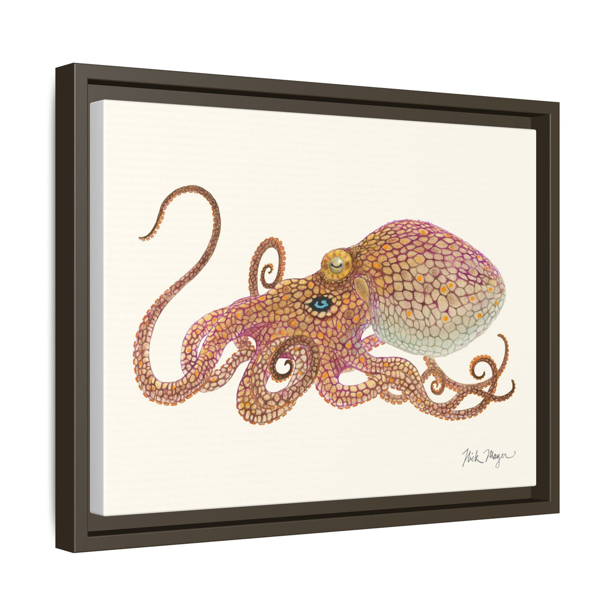 Two Spot Octopus Framed Canvas Print Printify