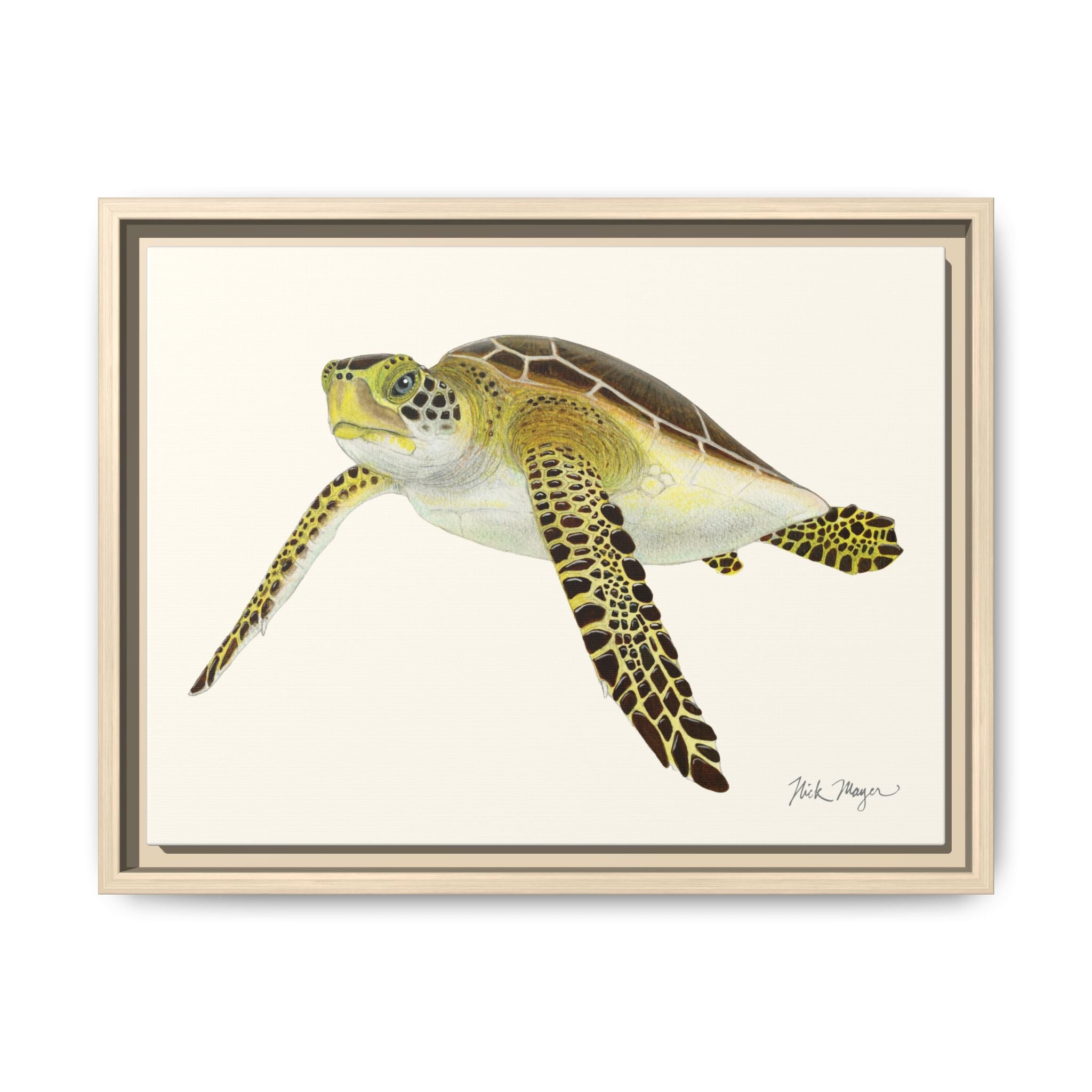 Green Sea Turtle III Framed Canvas Print Printify