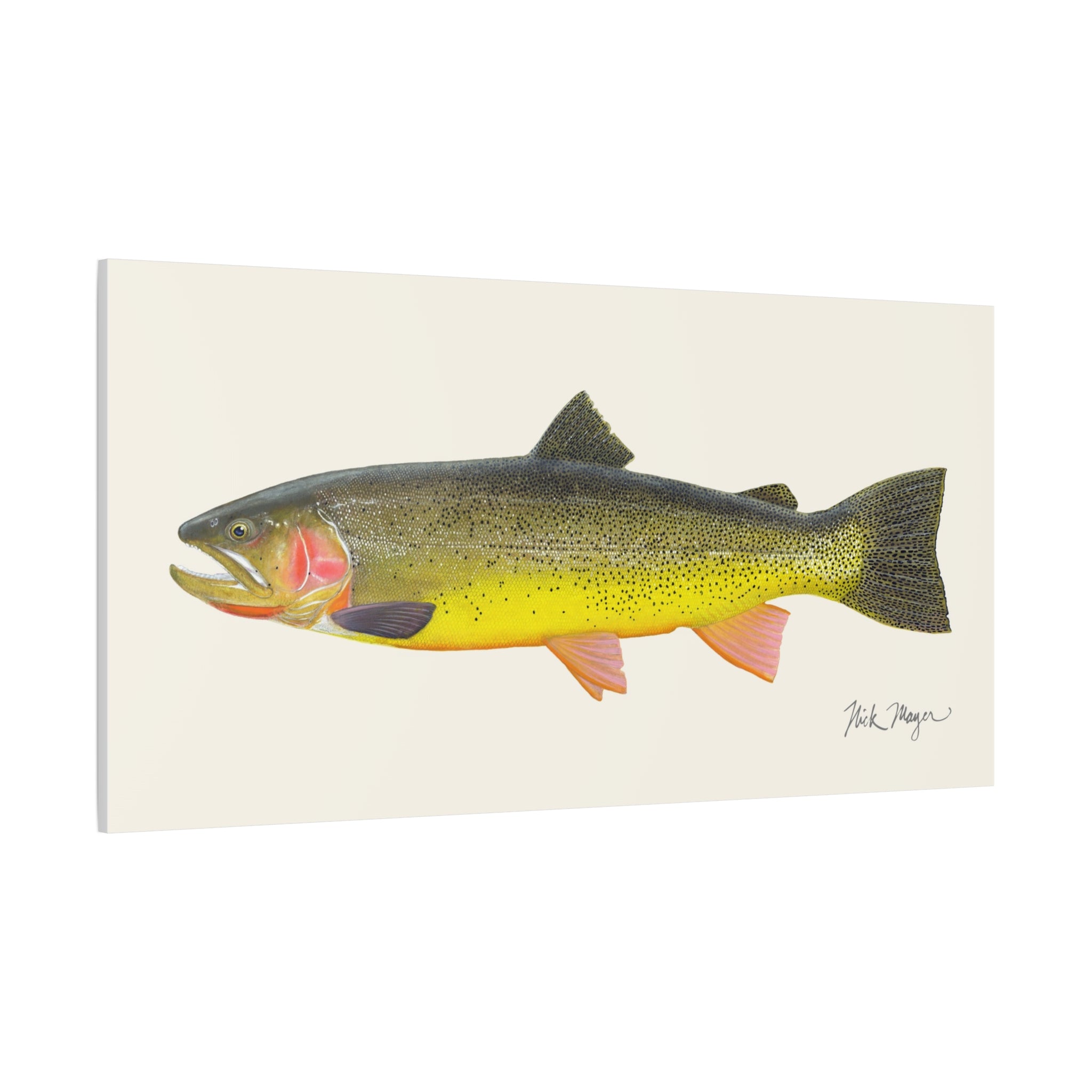 Cutthroat Trout III Canvas Print Printify