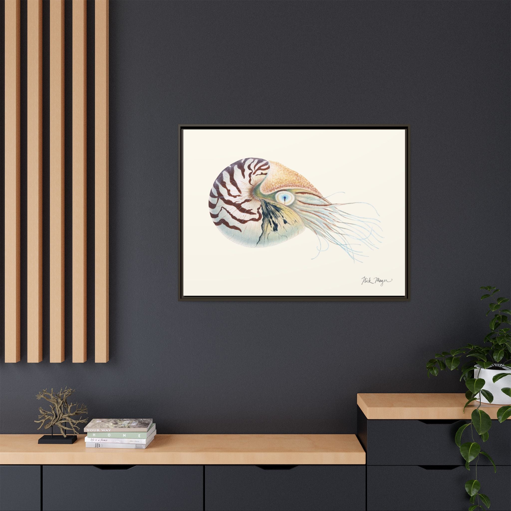 Chambered Nautilus Framed Canvas Print Printify