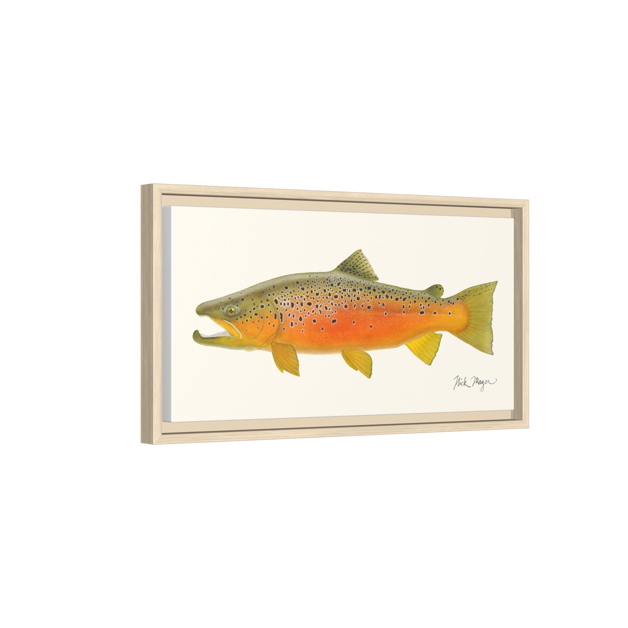 Brown Trout II Framed Canvas Print Printify