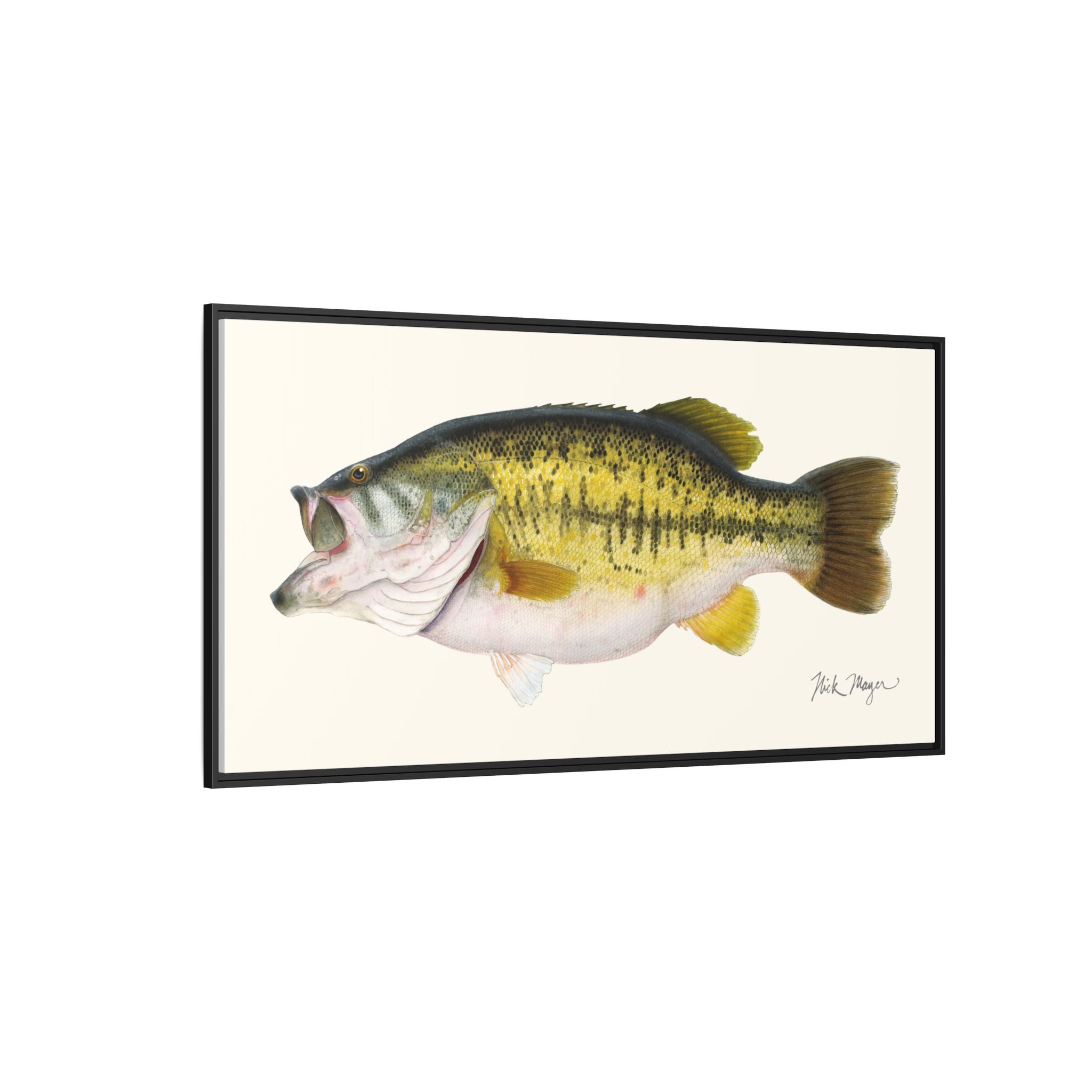Largemouth Bass II Framed Canvas Print