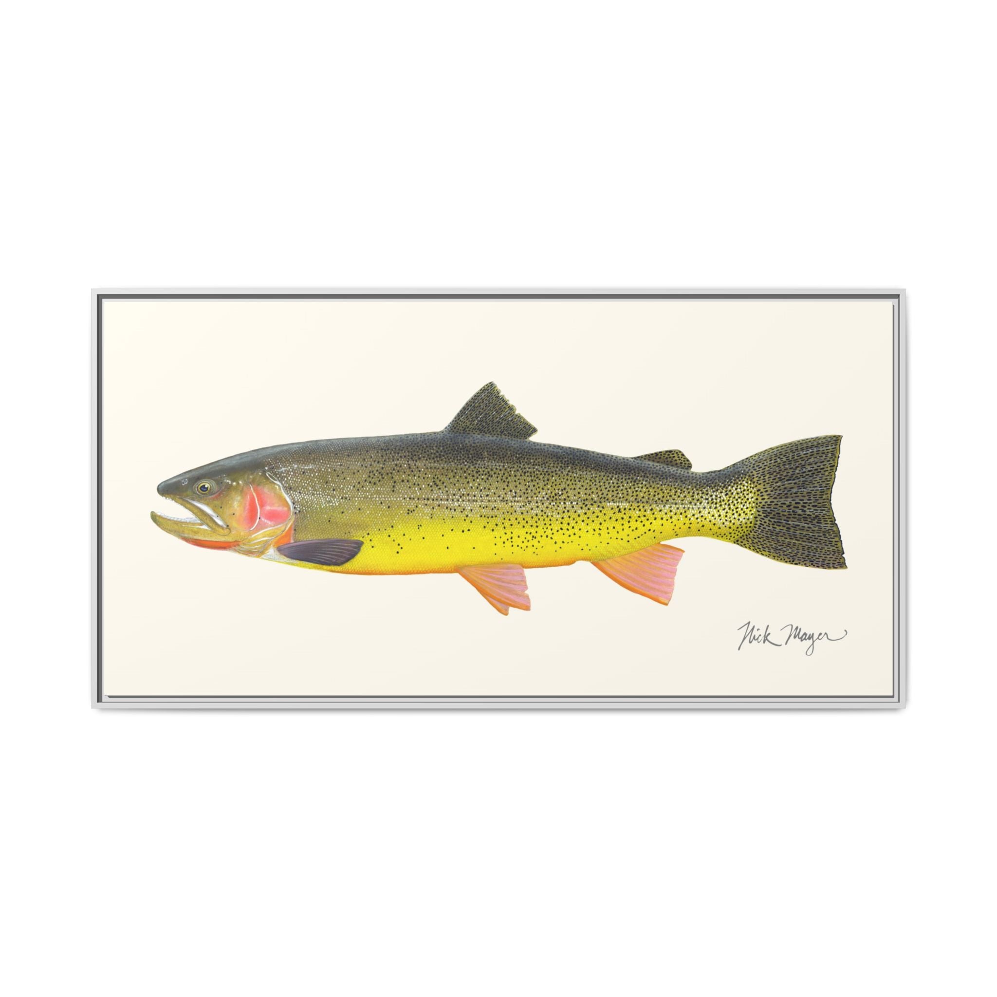 Cutthroat Trout III Framed Canvas Print Printify