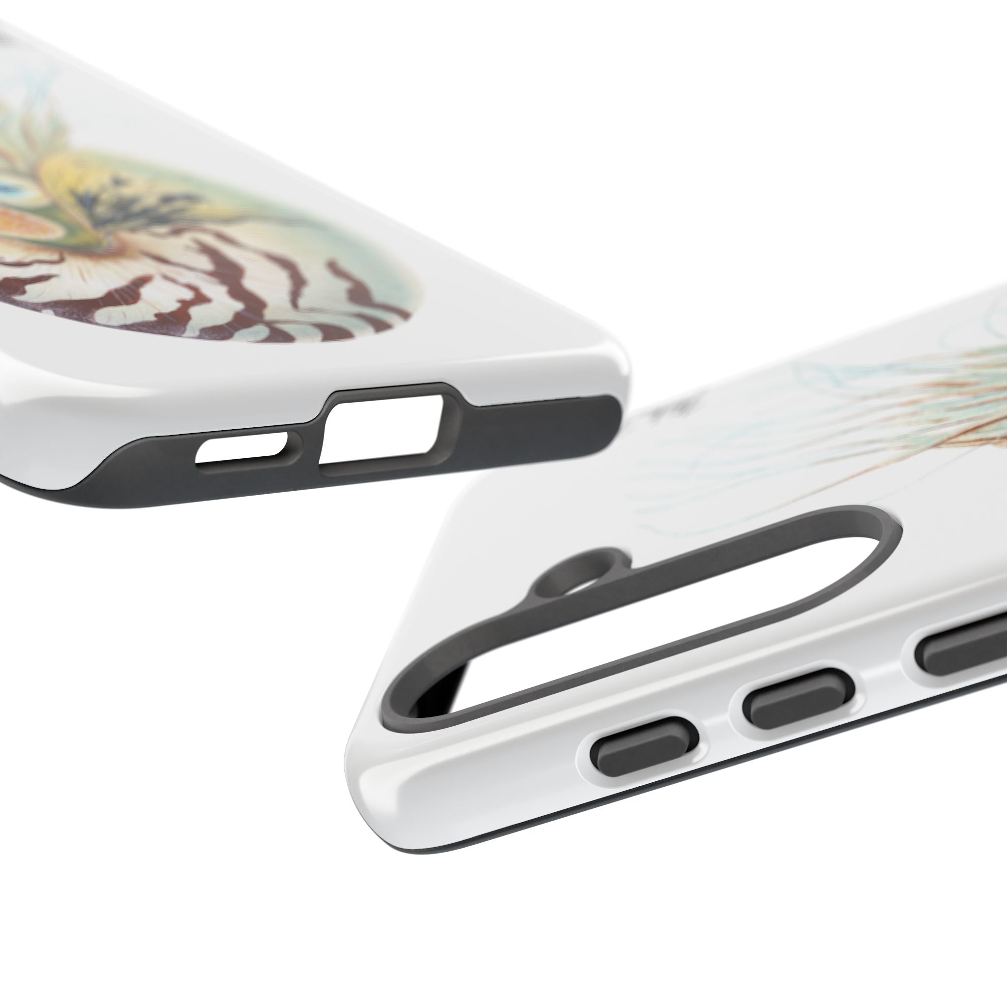Chambered Nautilus Phone Case (Samsung) Printify