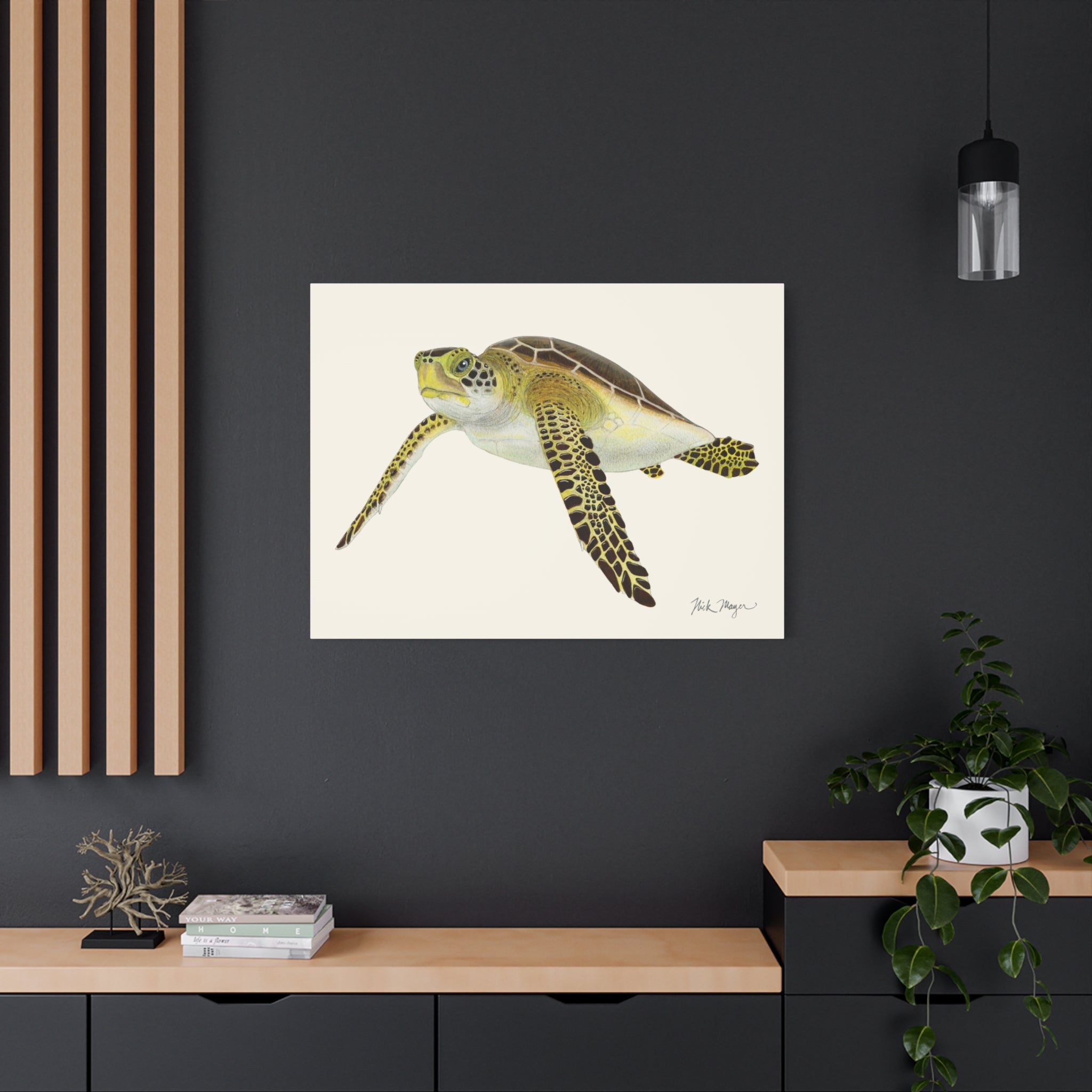 Juvenile Green Sea Turtle III Canvas Print
