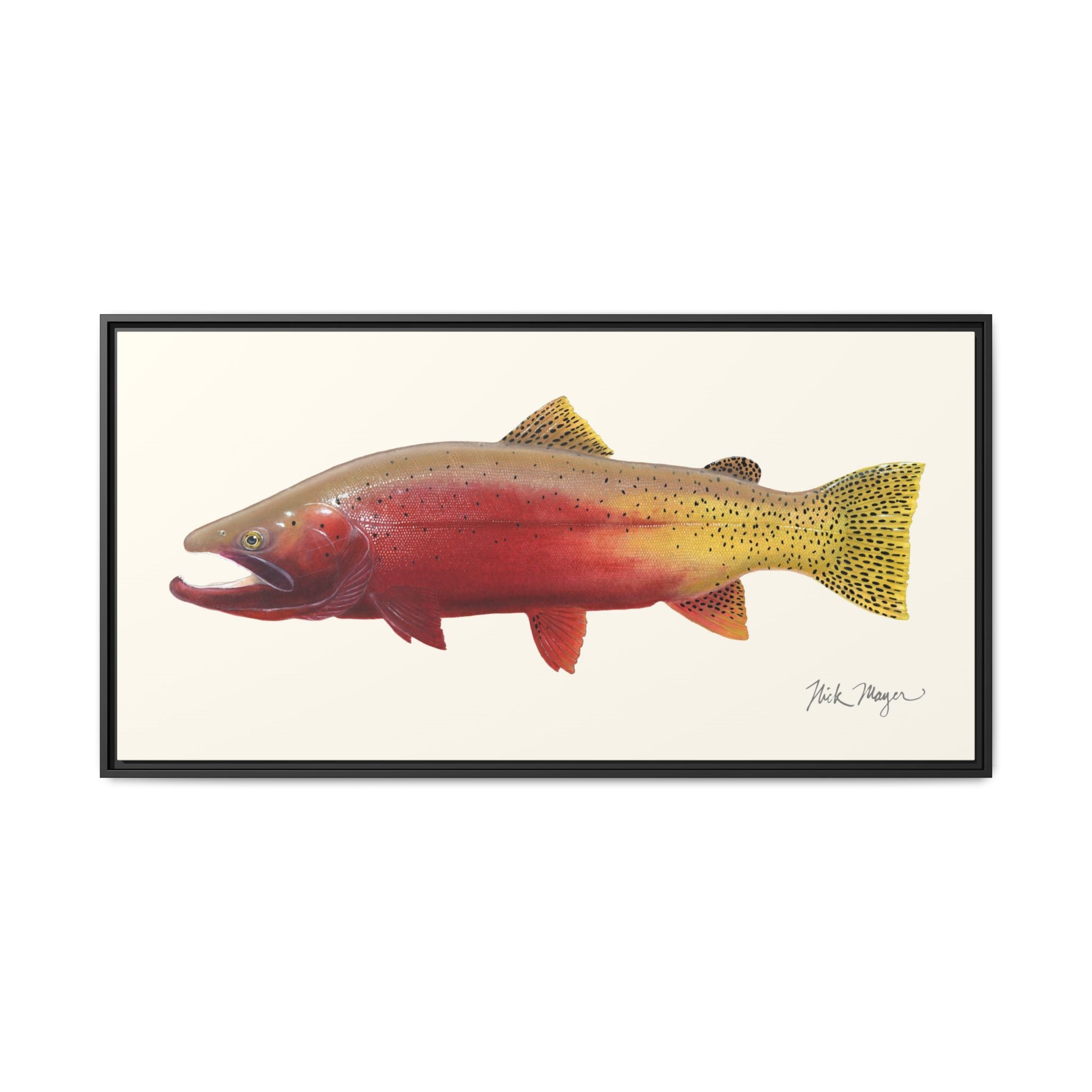 Cutthroat Trout II Framed Canvas Print Printify