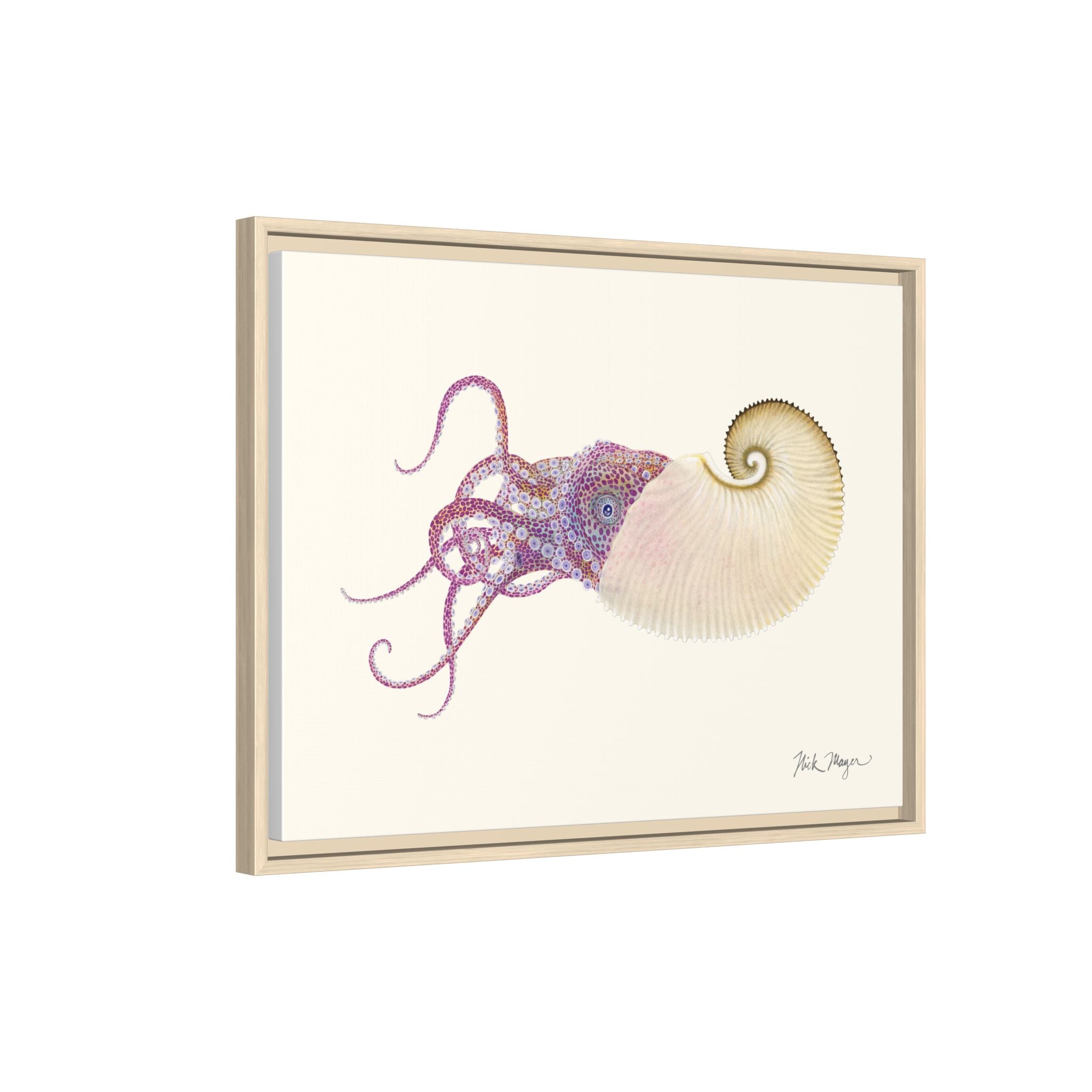 Paper Nautilus Framed Canvas Print Printify