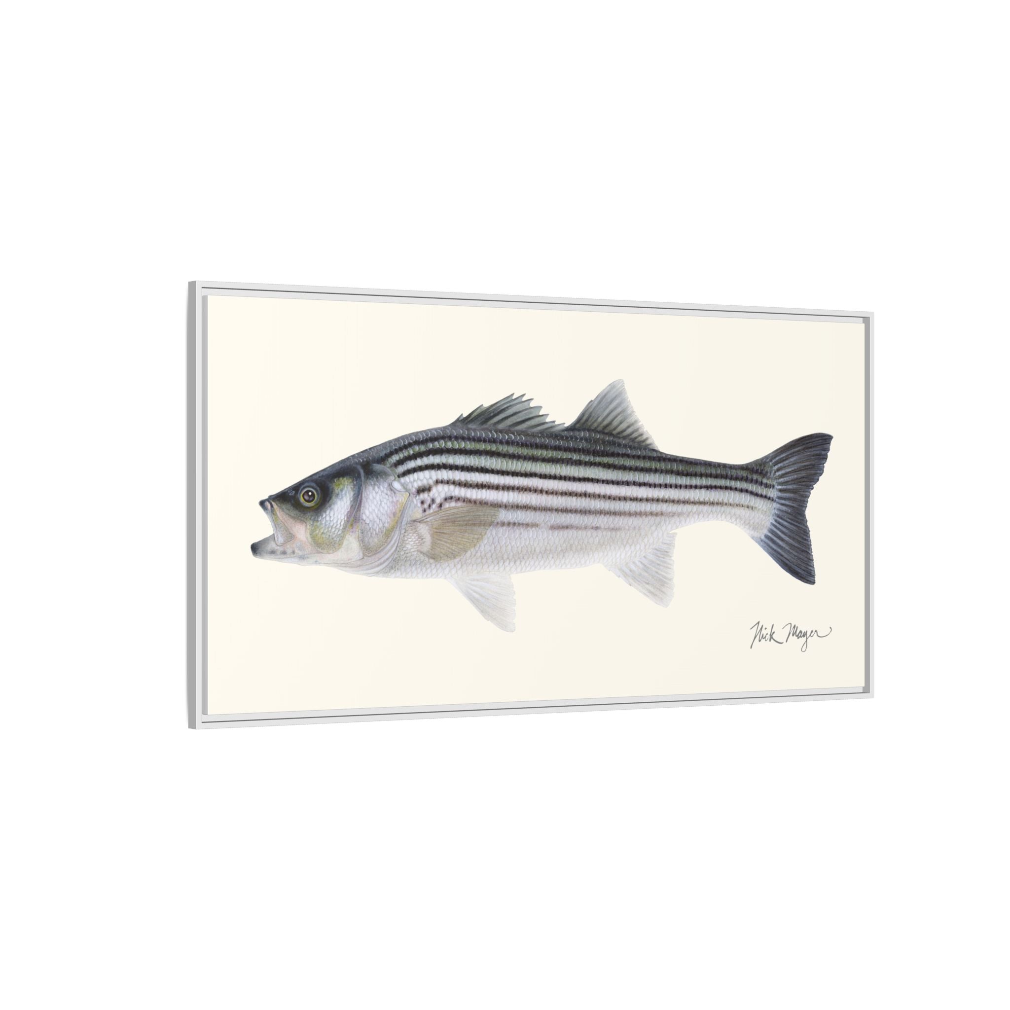 Schoolie Striped Bass Framed Canvas Print Printify