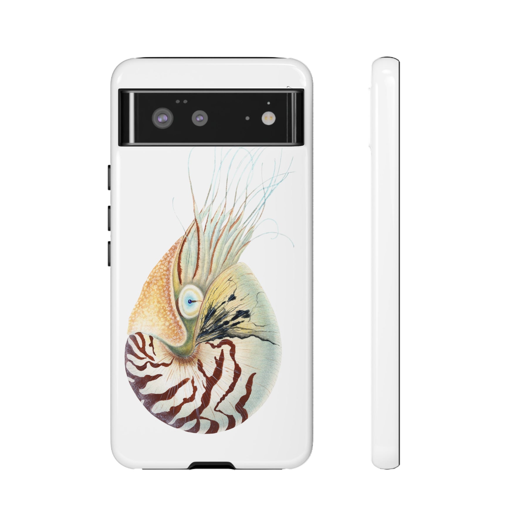 Chambered Nautilus Phone Case (Samsung)
