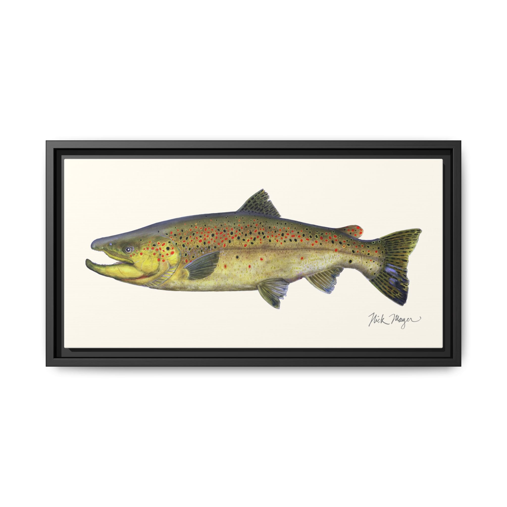 Brown Trout I Framed Canvas Print Printify