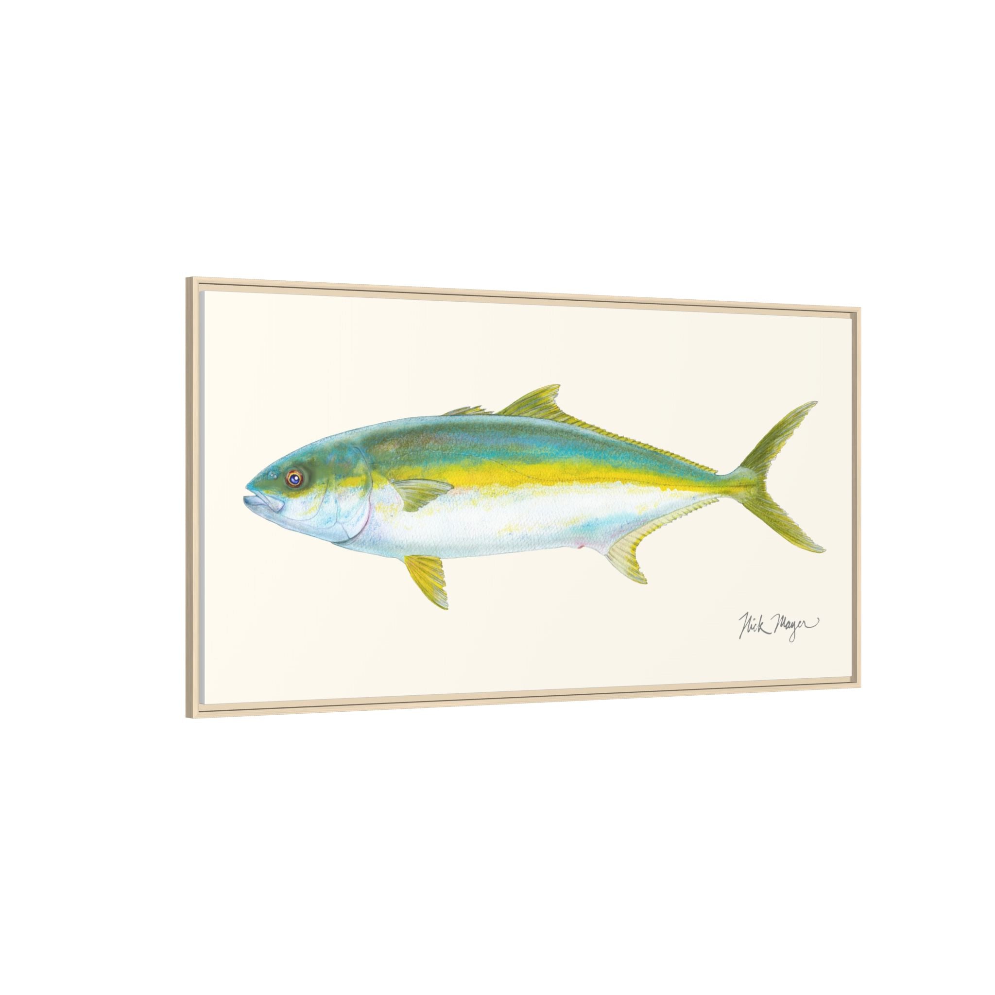 California Yellowtail I Framed Canvas Print Printify