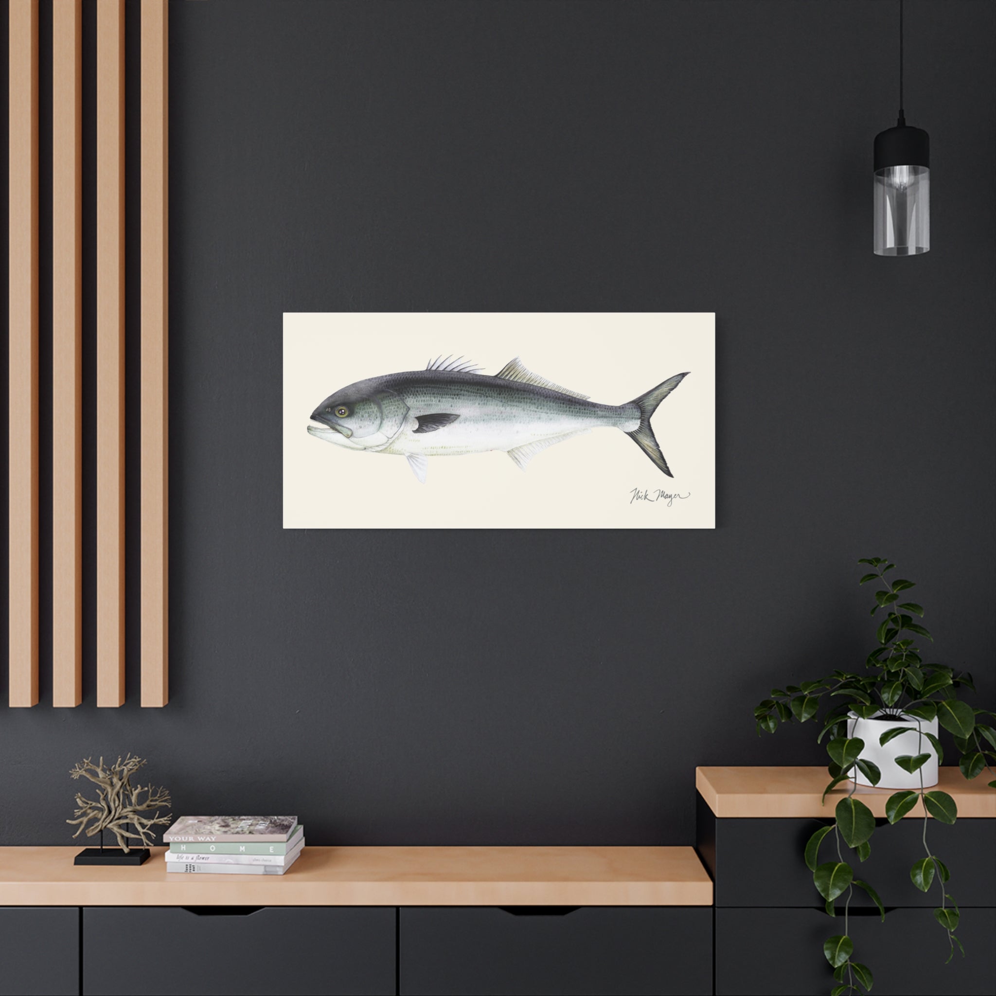 Bluefish Canvas Print