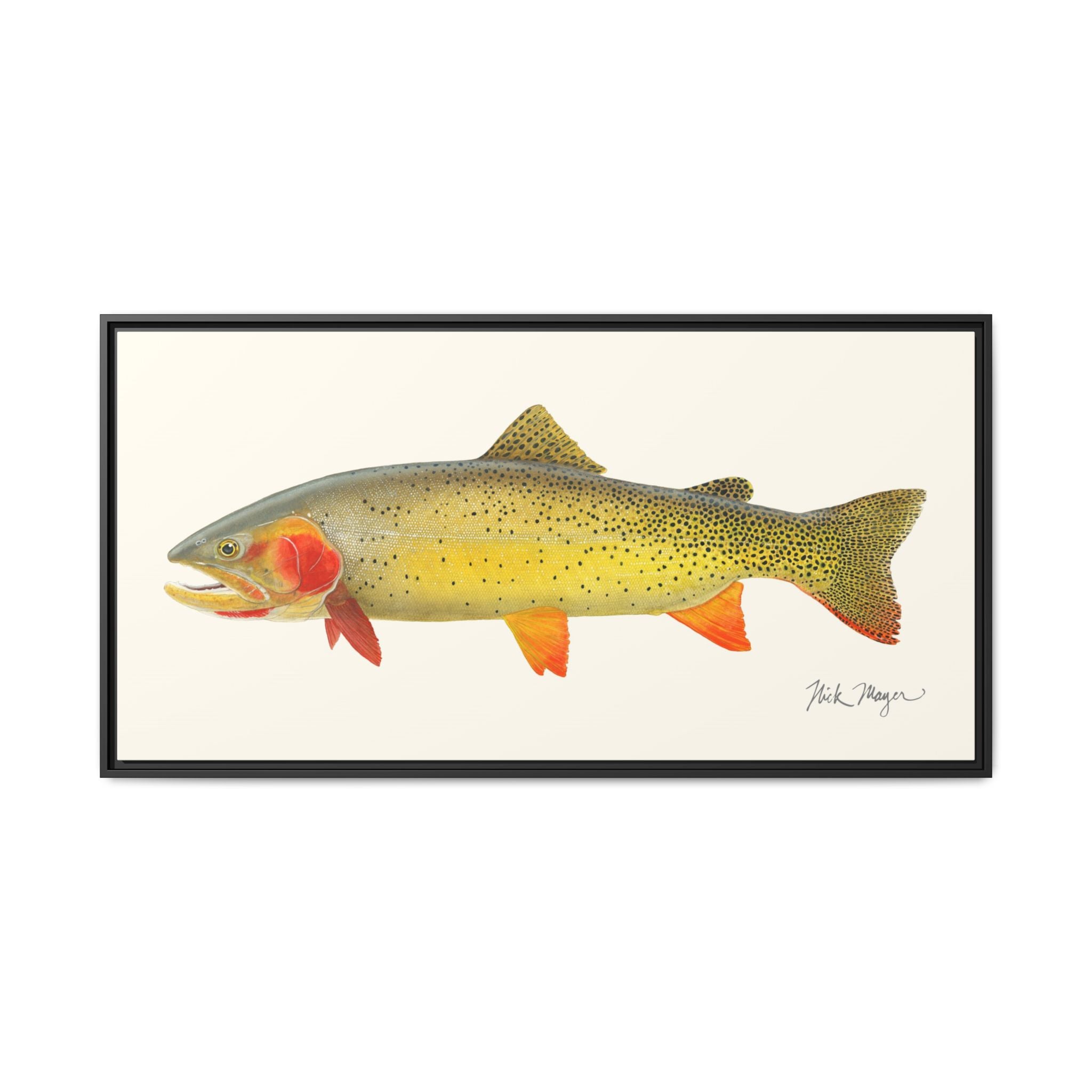 Cutthroat Trout I Framed Canvas Print Printify