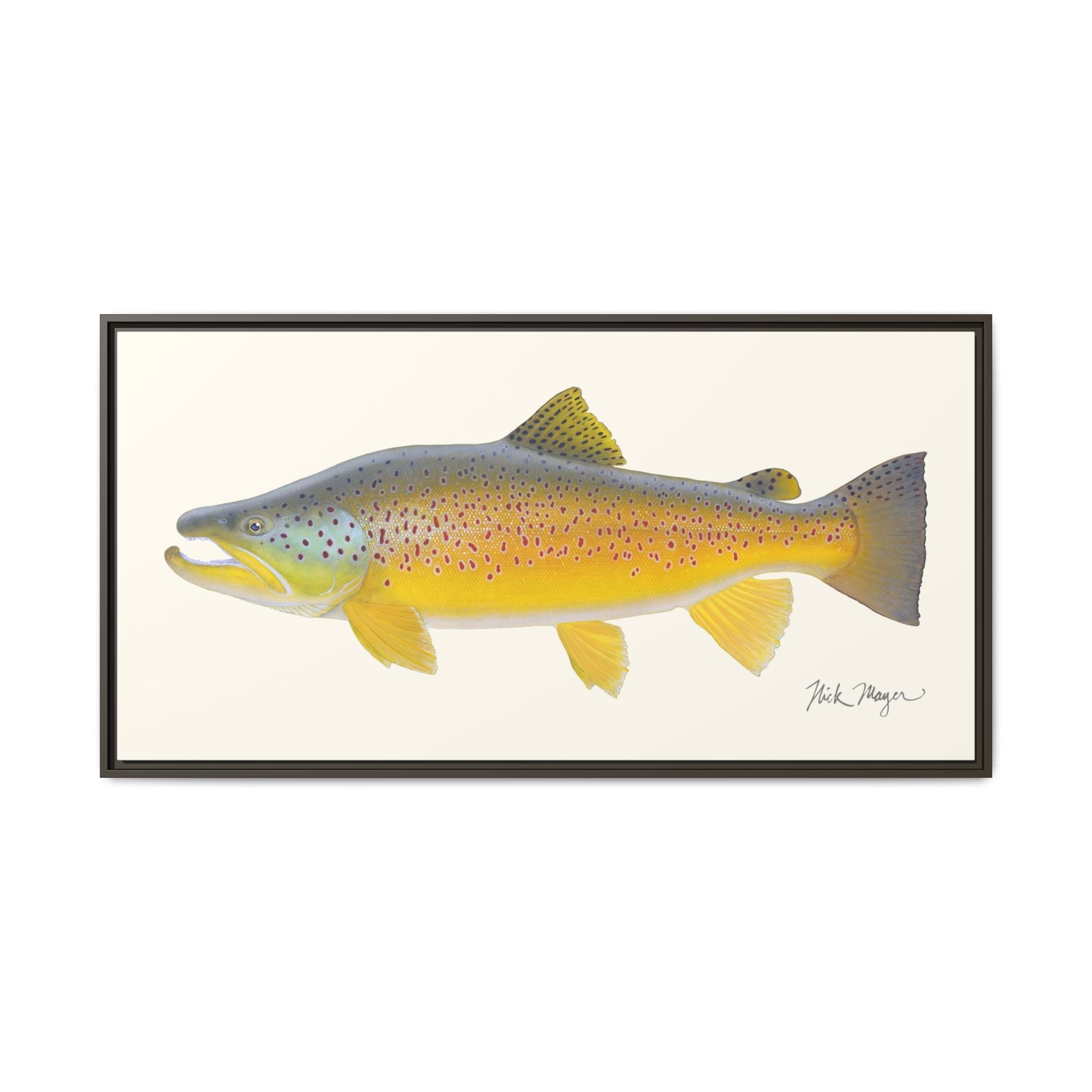 Brown Trout III Framed Canvas Print Printify