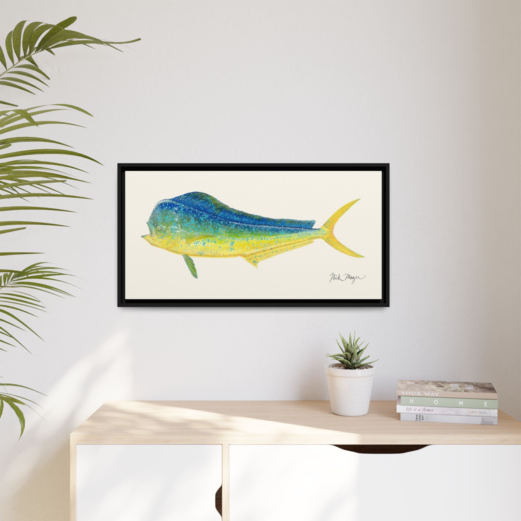 Bull Mahi Mahi Framed Canvas Print