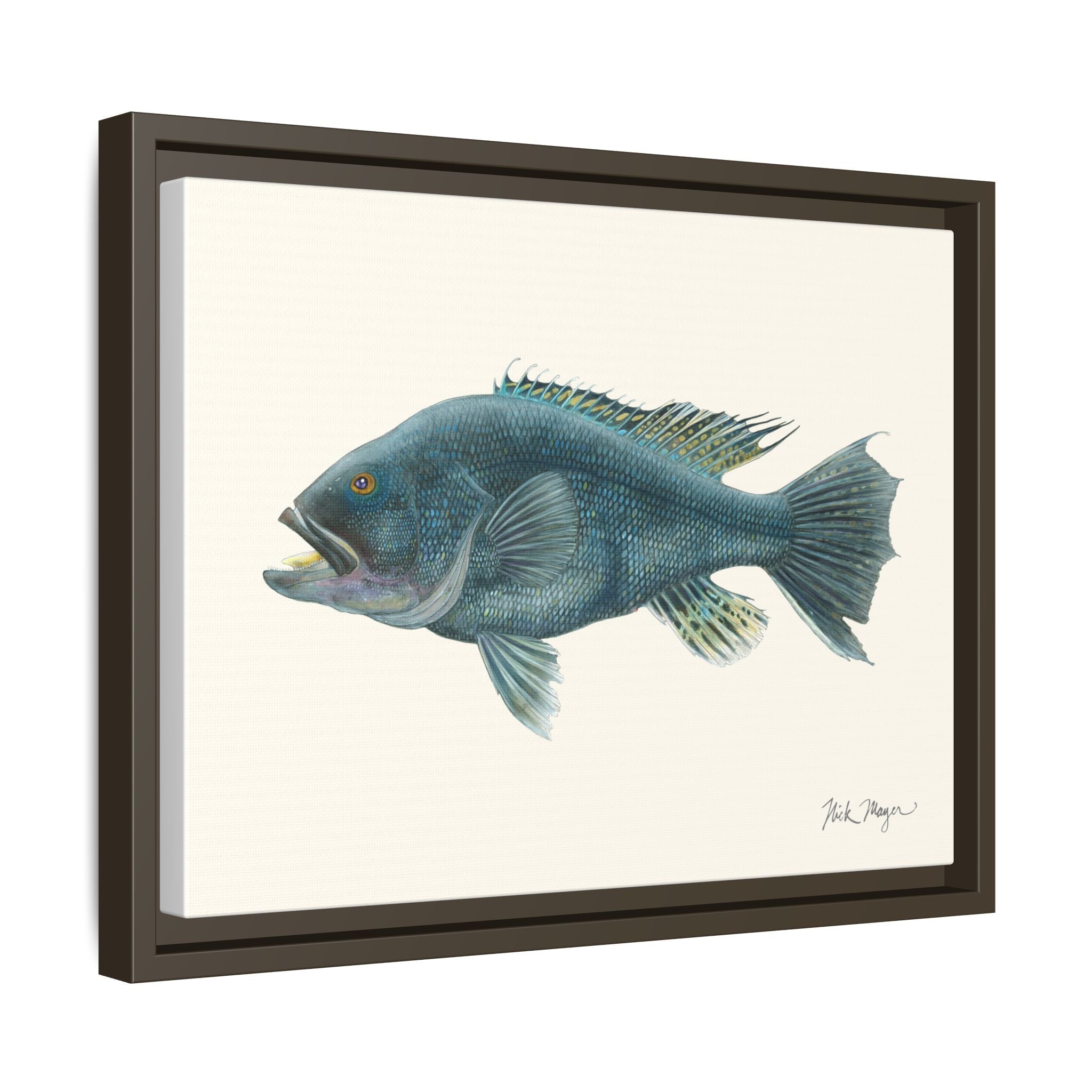 Black Sea Bass Framed Canvas Print Printify