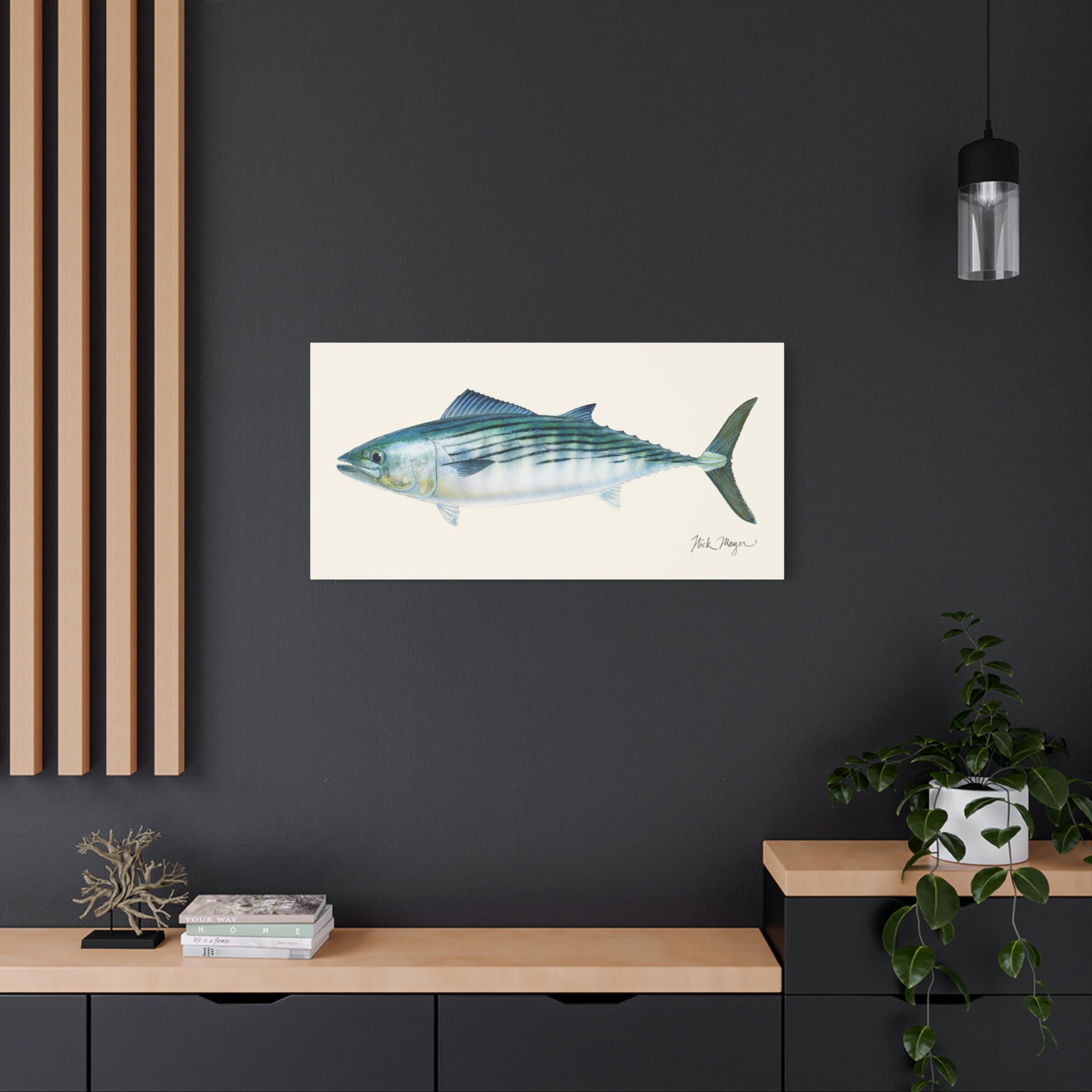 Bonito Canvas Print