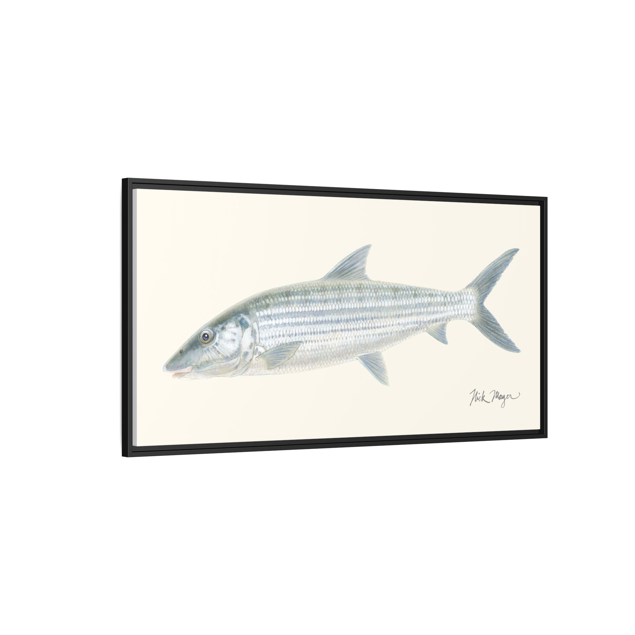 Bonefish Framed Canvas Print Printify