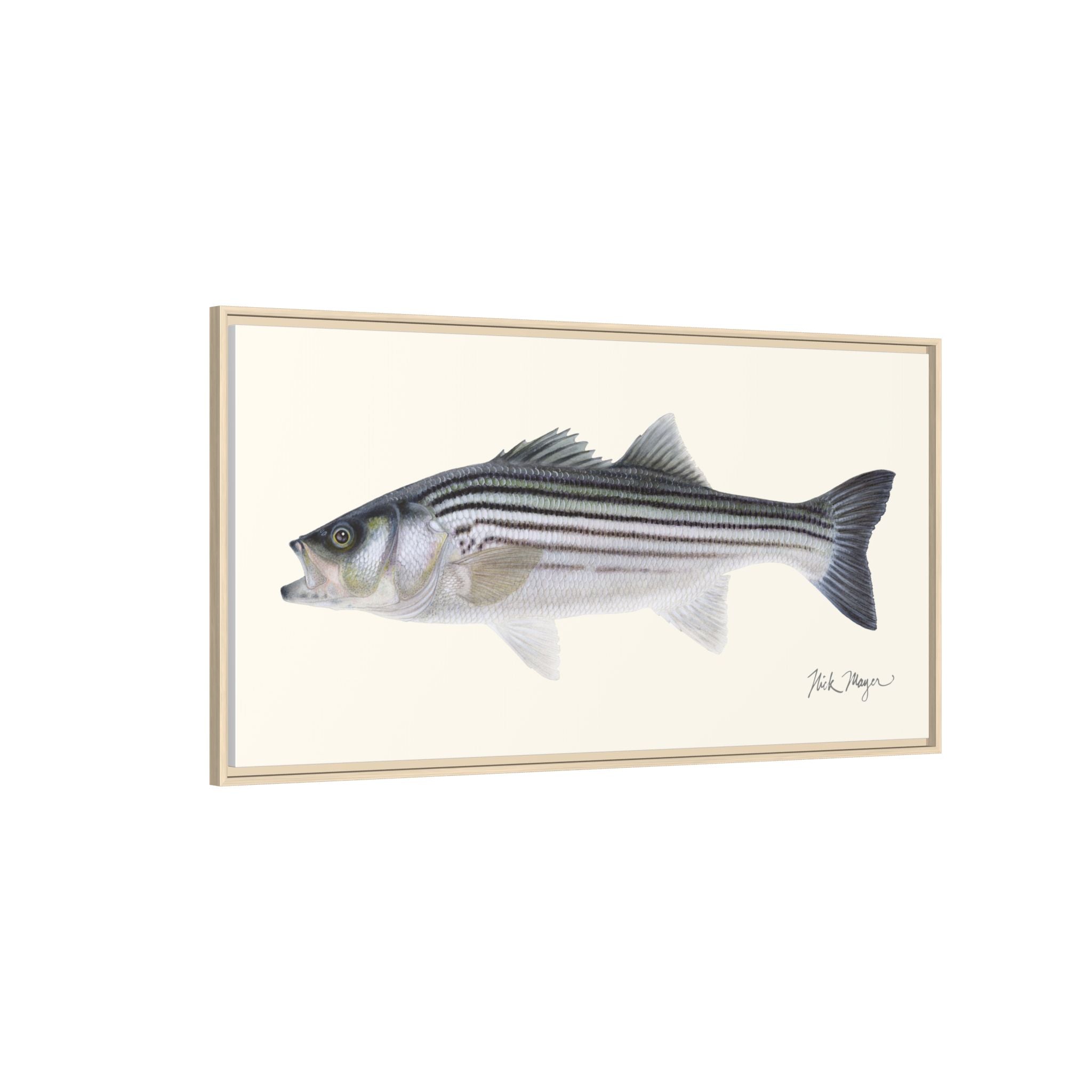 Schoolie Striped Bass Framed Canvas Print Printify