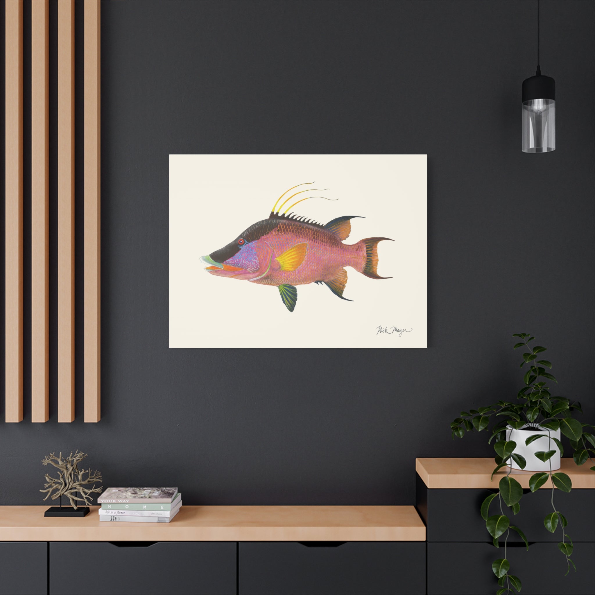 Hogfish Canvas Print