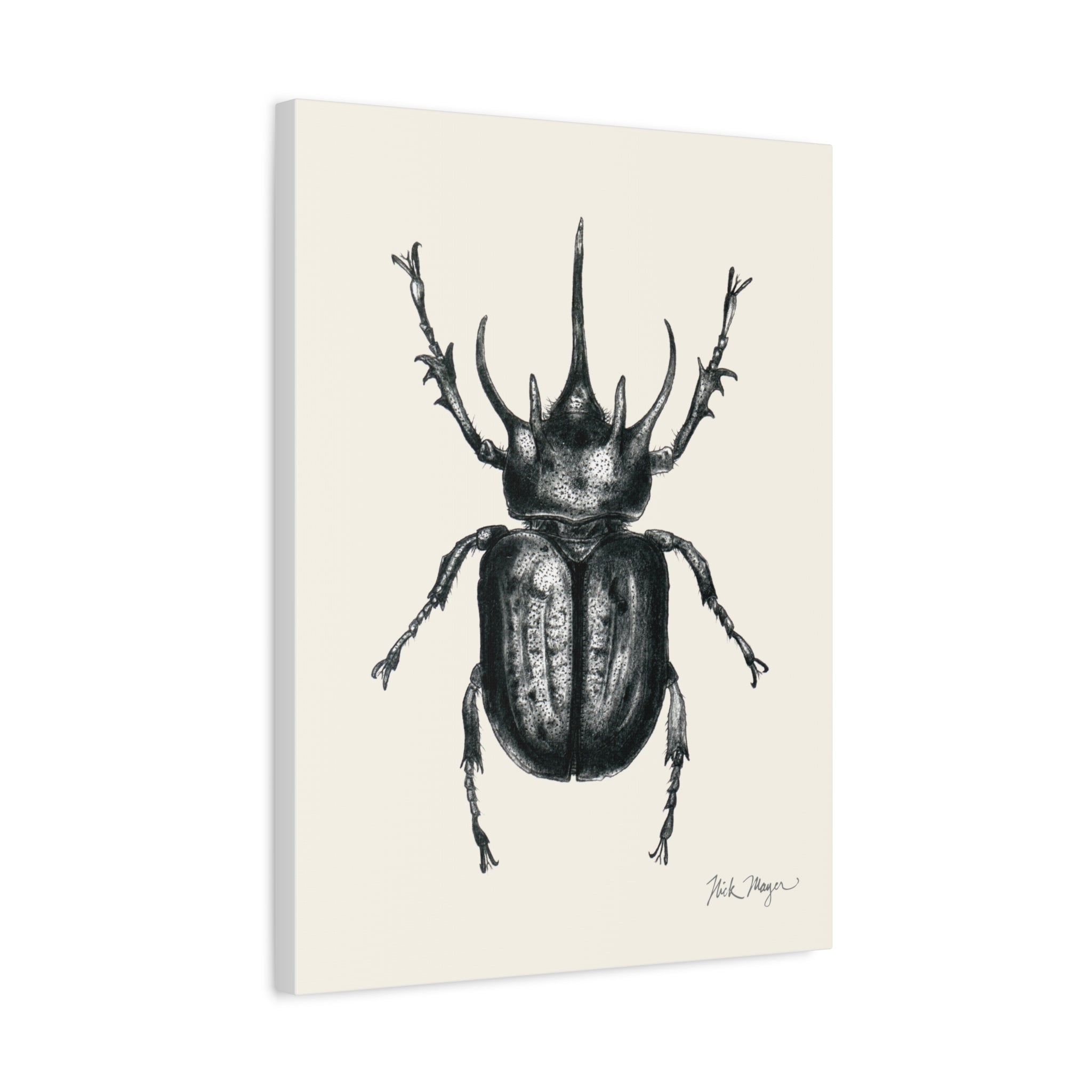 Rhinoceros Beetle Canvas Print
