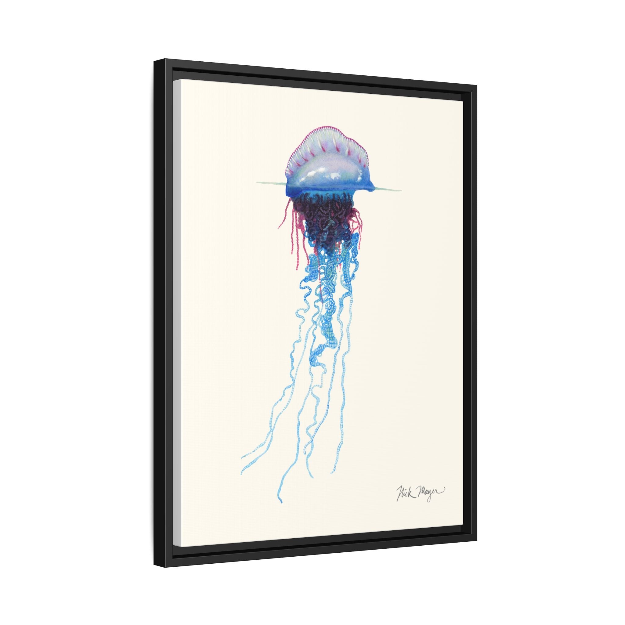 Portuguese Man O' War Framed Canvas Print Printify