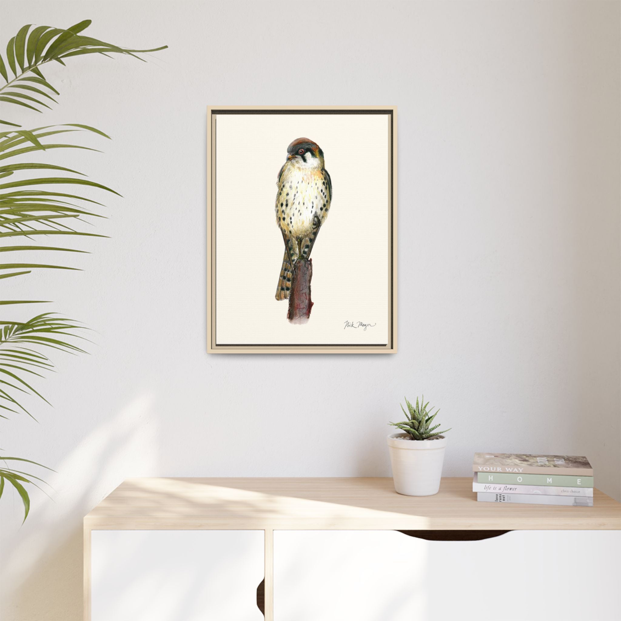 American Kestrel Framed Canvas Print Printify