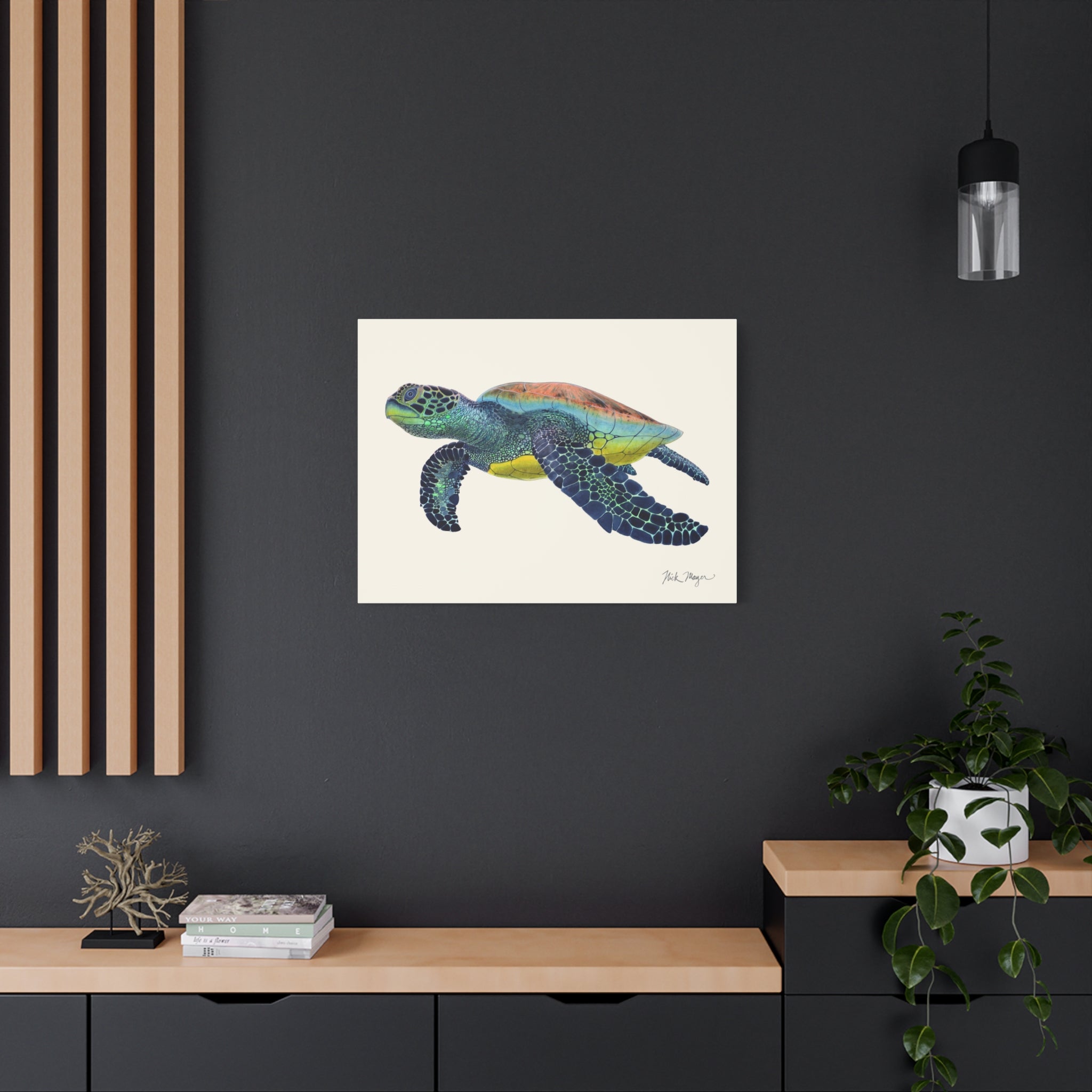 Green Sea Turtle II Canvas Print