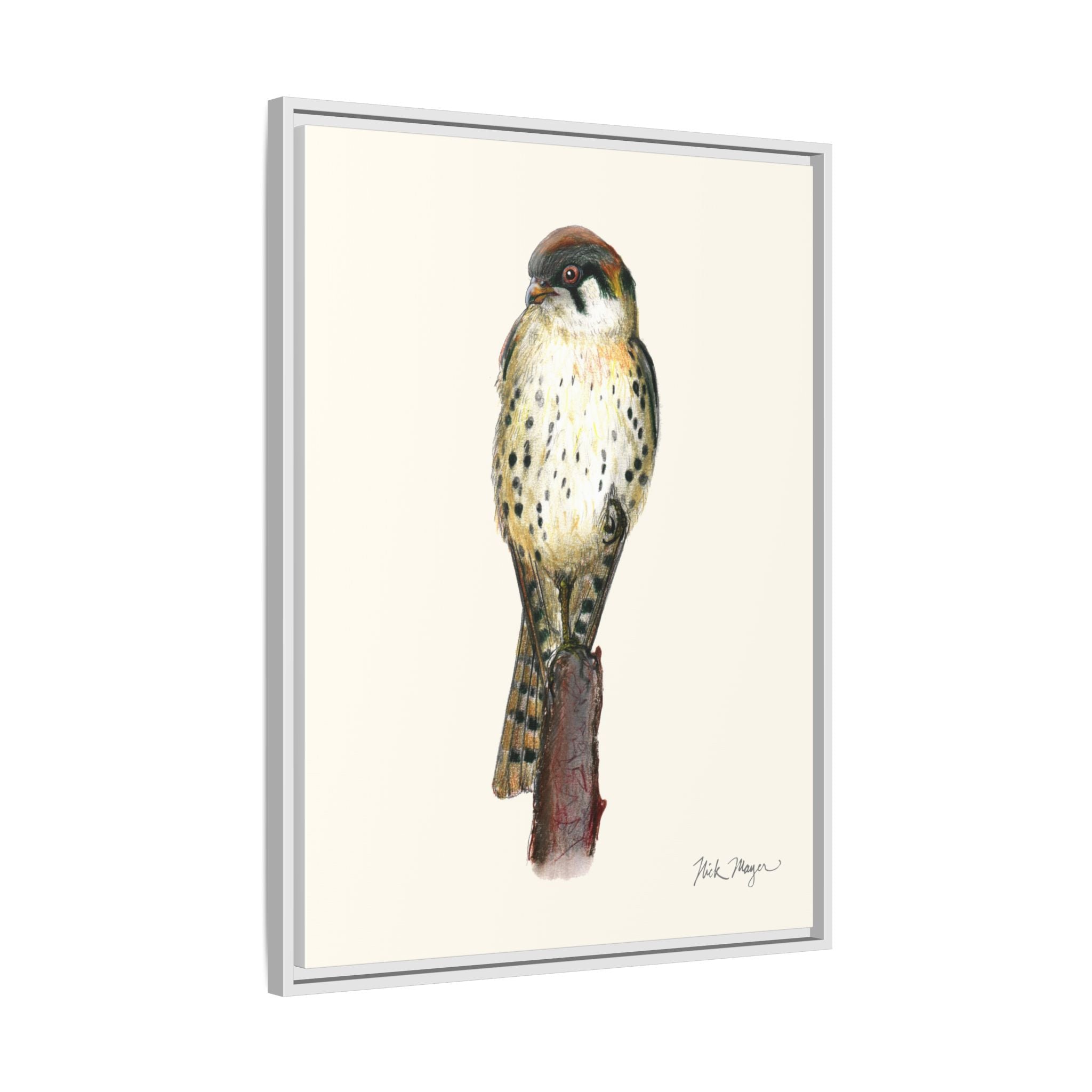American Kestrel Framed Canvas Print Printify