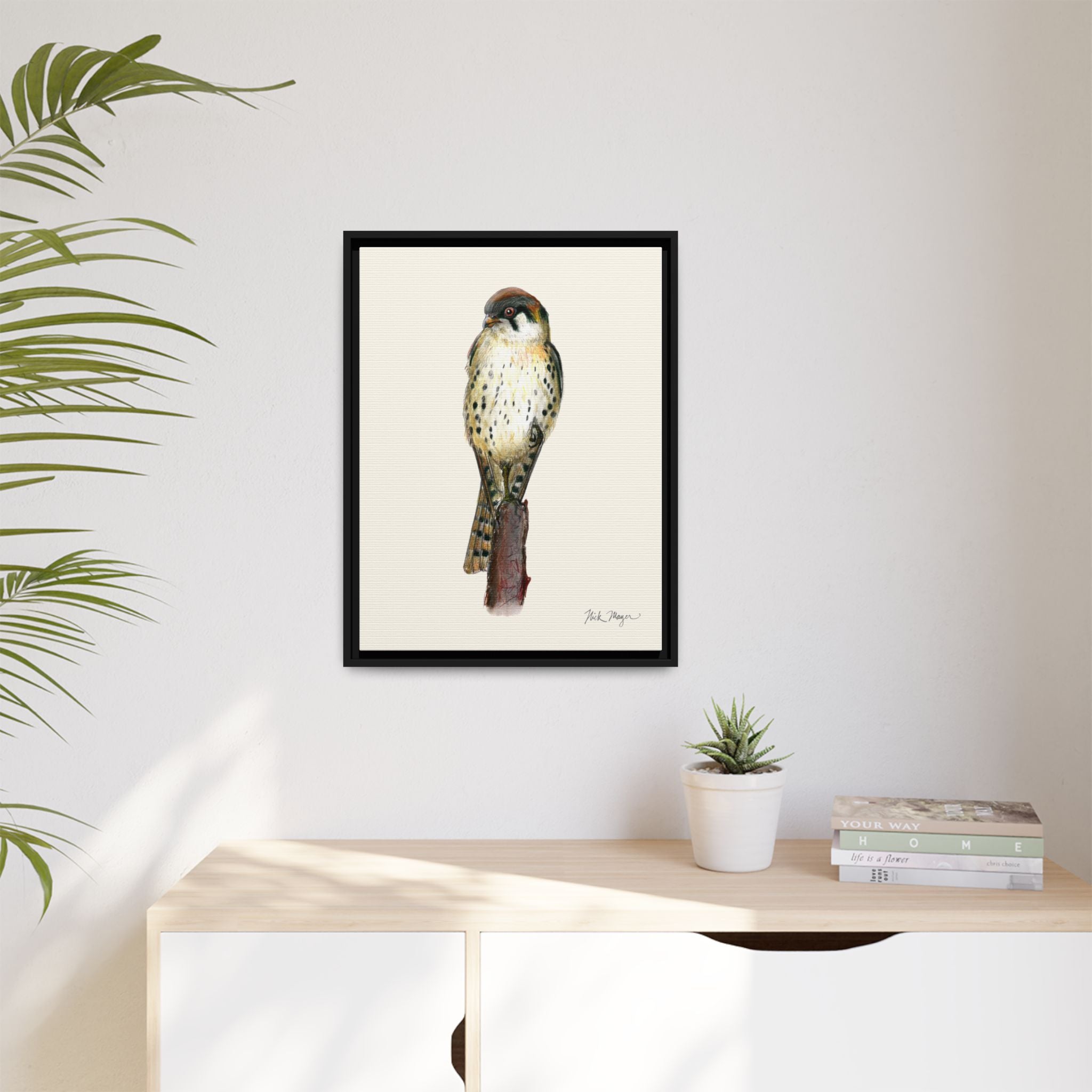 American Kestrel Framed Canvas Print Printify
