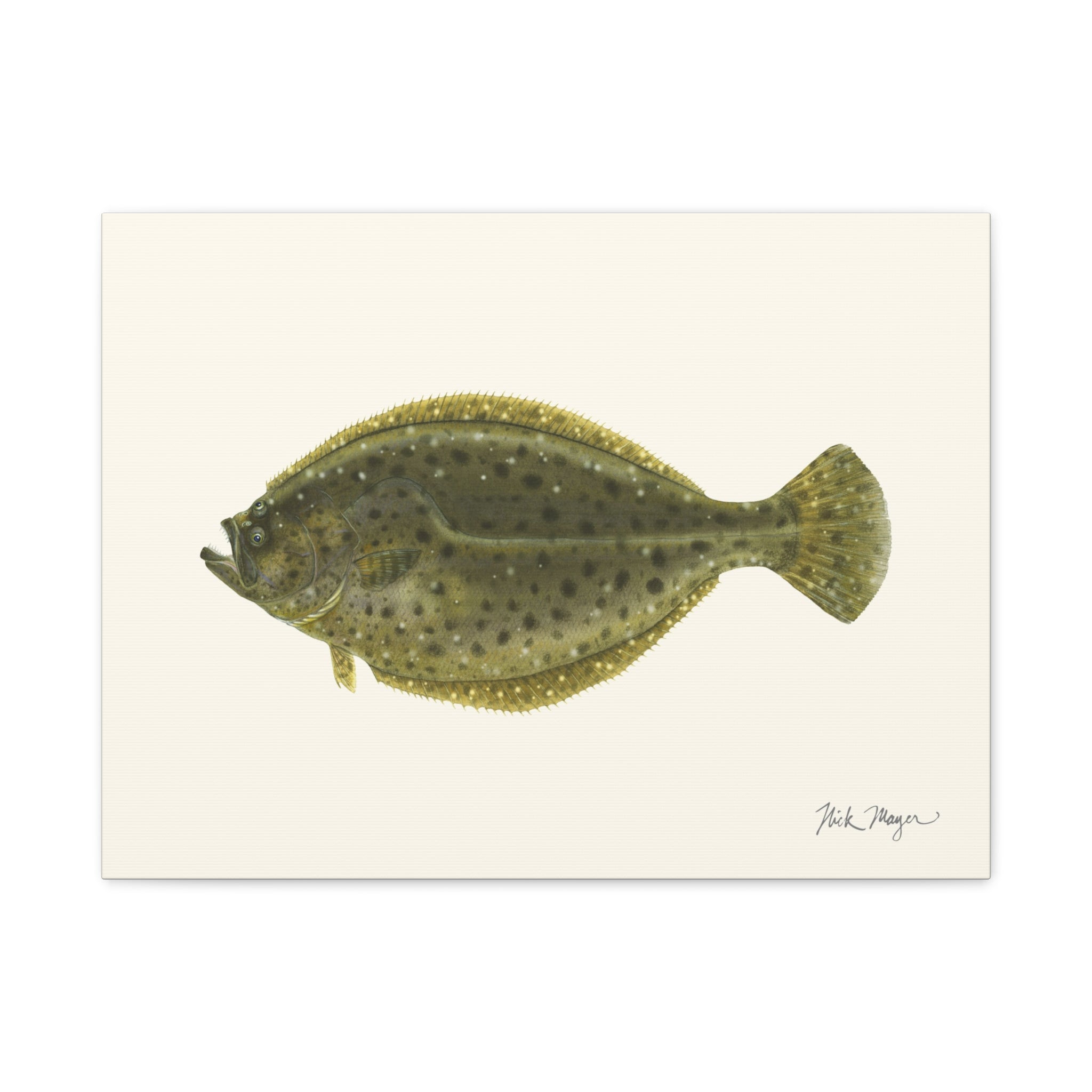 Fluke Canvas Print