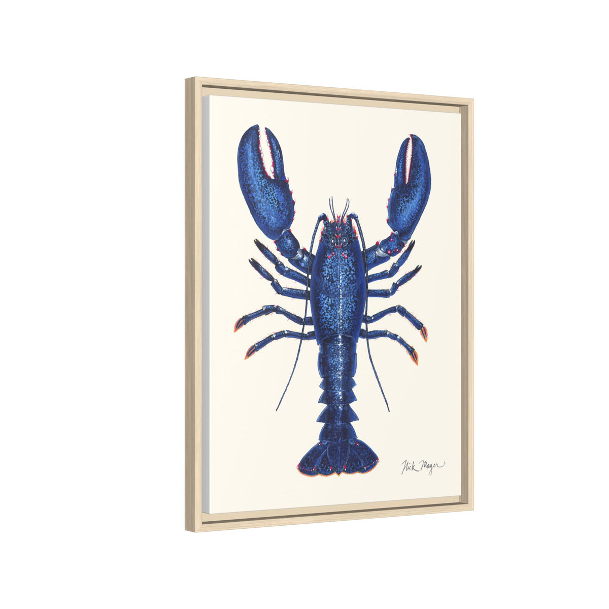 Blue Lobster II Framed Canvas Print Printify