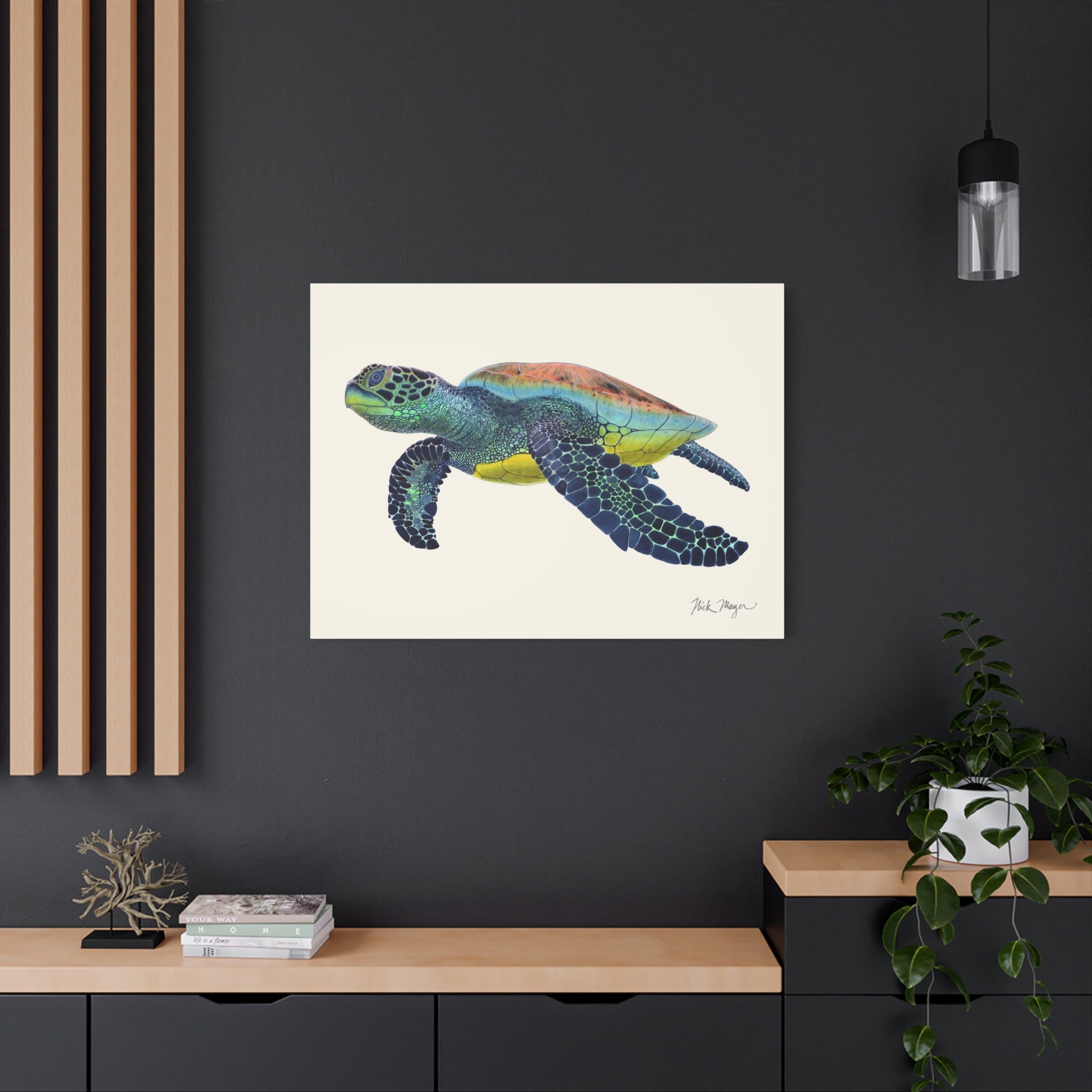 Green Sea Turtle II Canvas Print