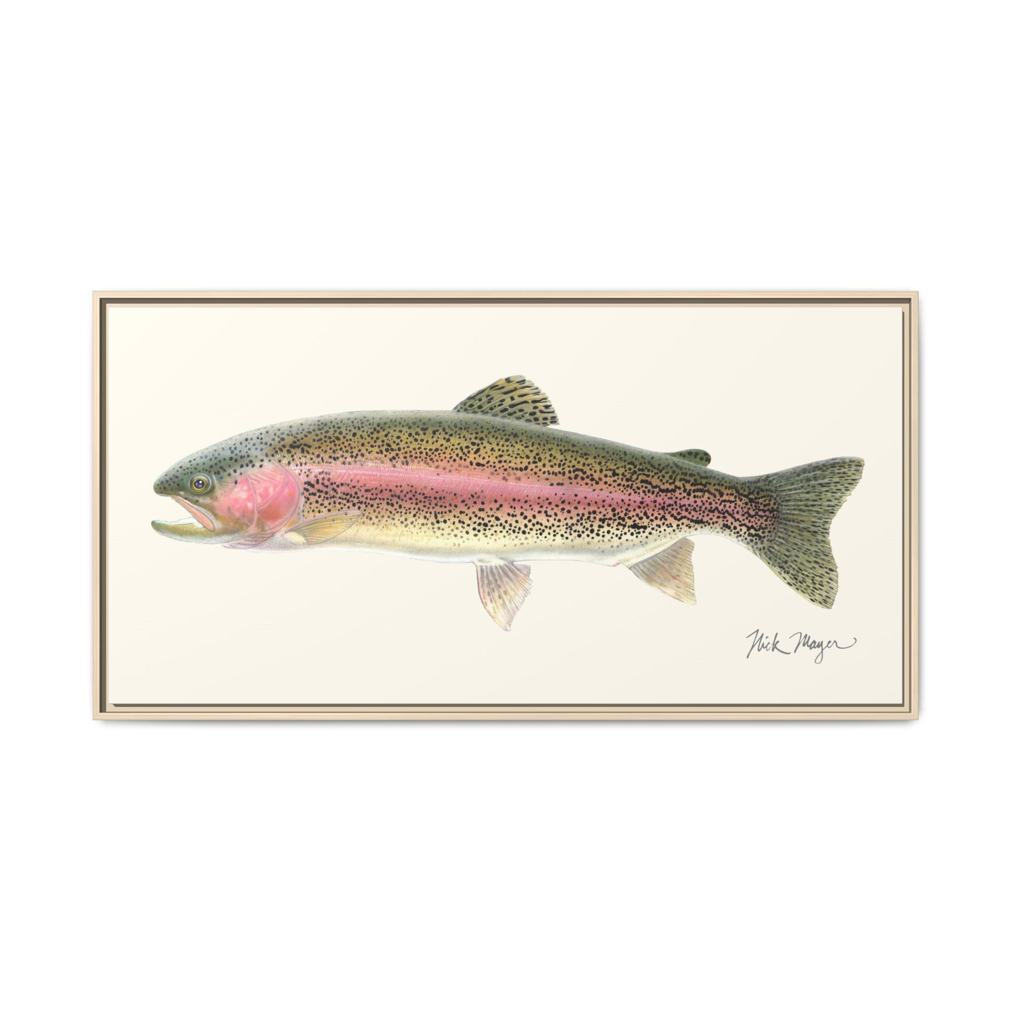 Rainbow Trout Framed Canvas Print Printify