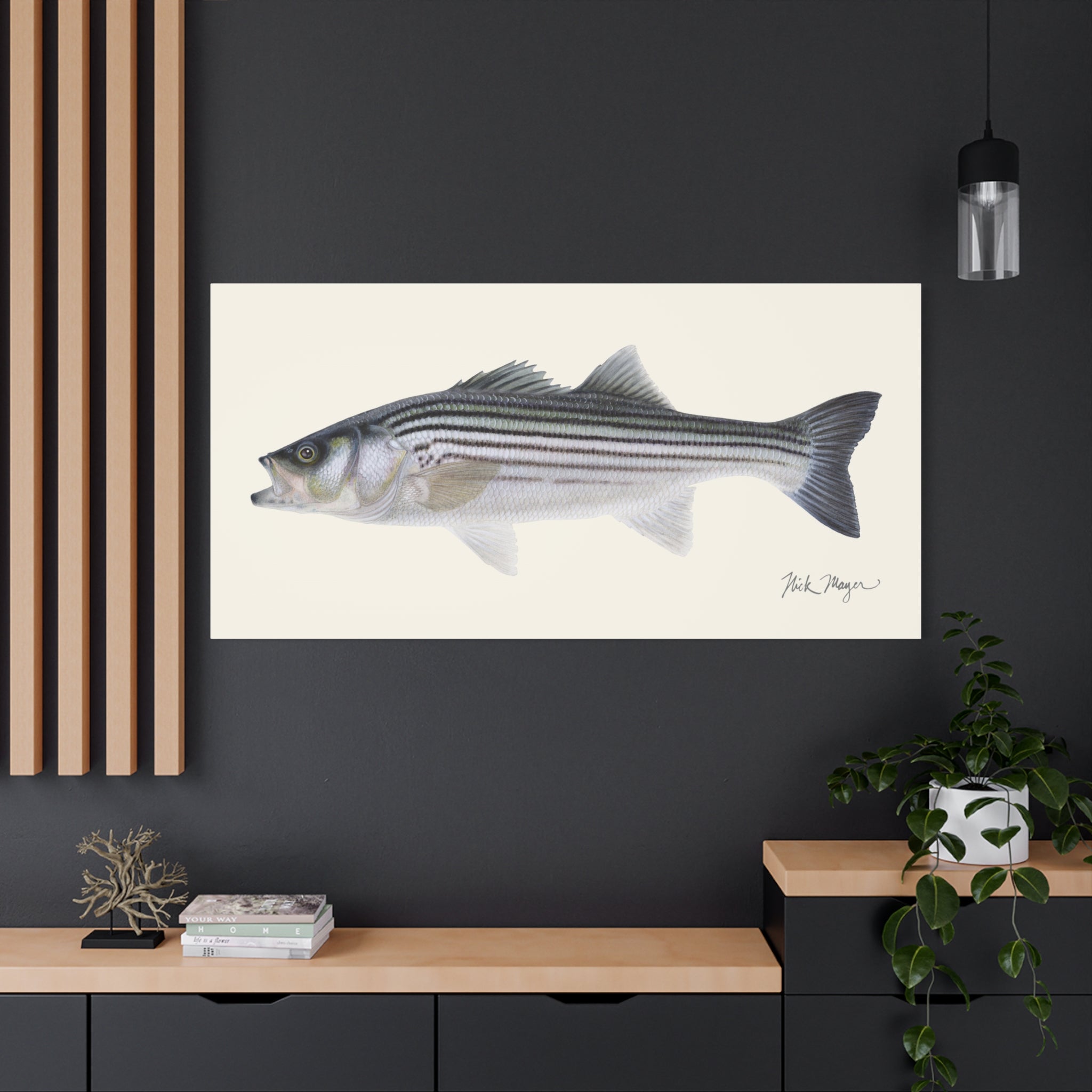 Schoolie Striped Bass Canvas Print